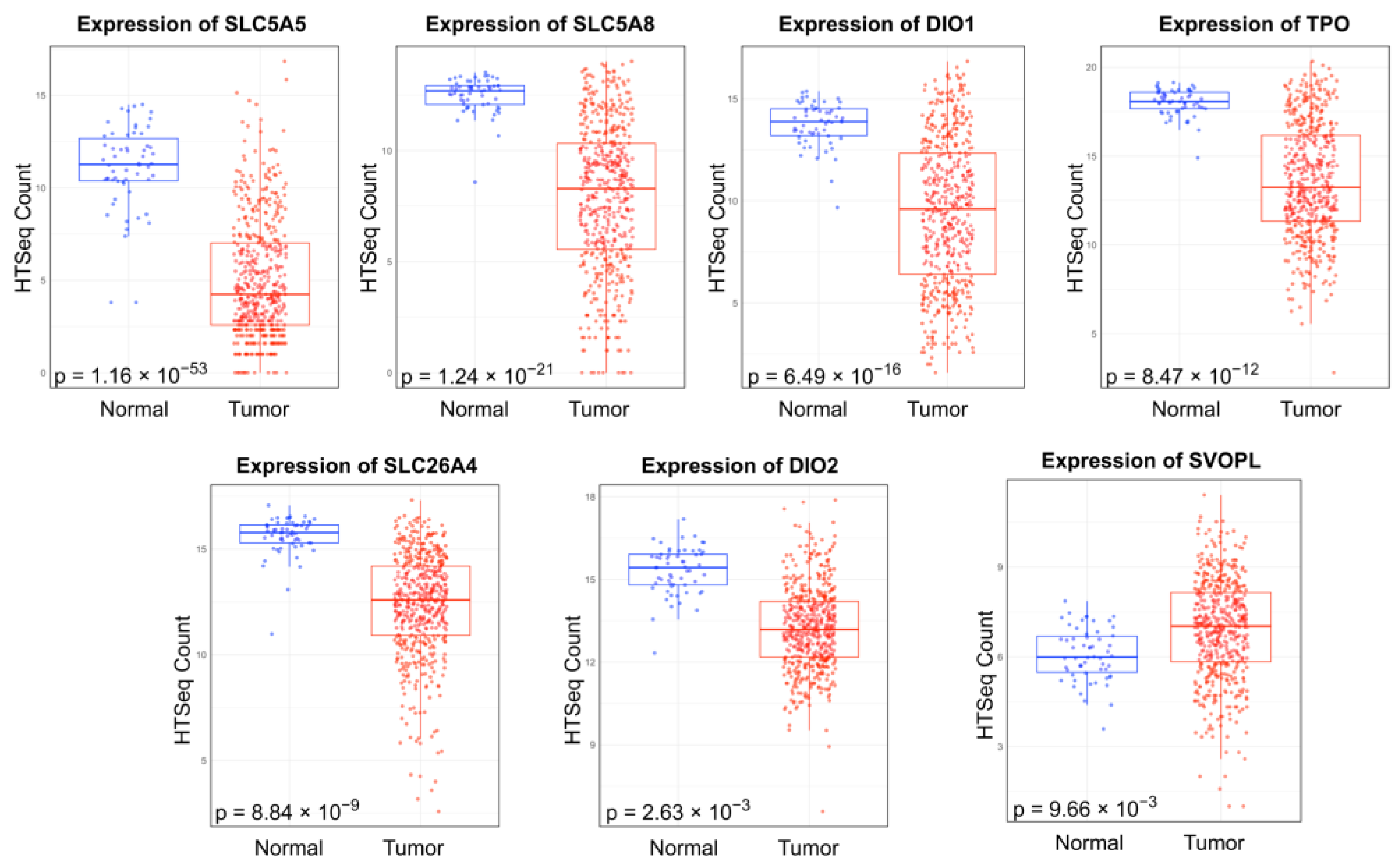 Ijms 25 10631 g002 Ijms 25 10631 g002