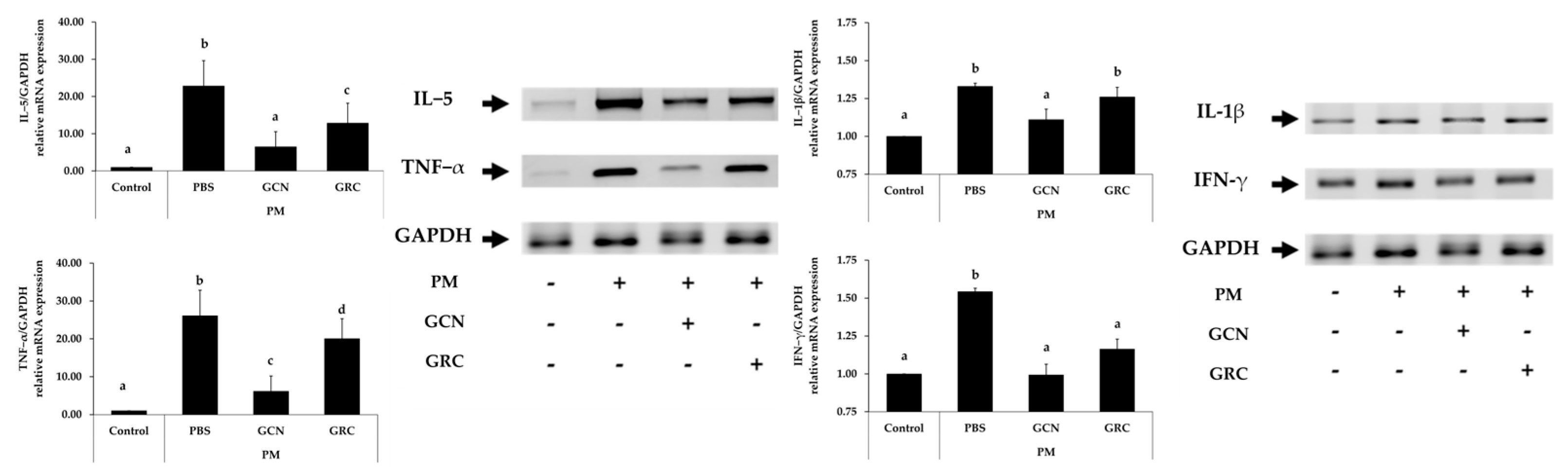 Ijms 25 10642 g004 Ijms 25 10642 g004