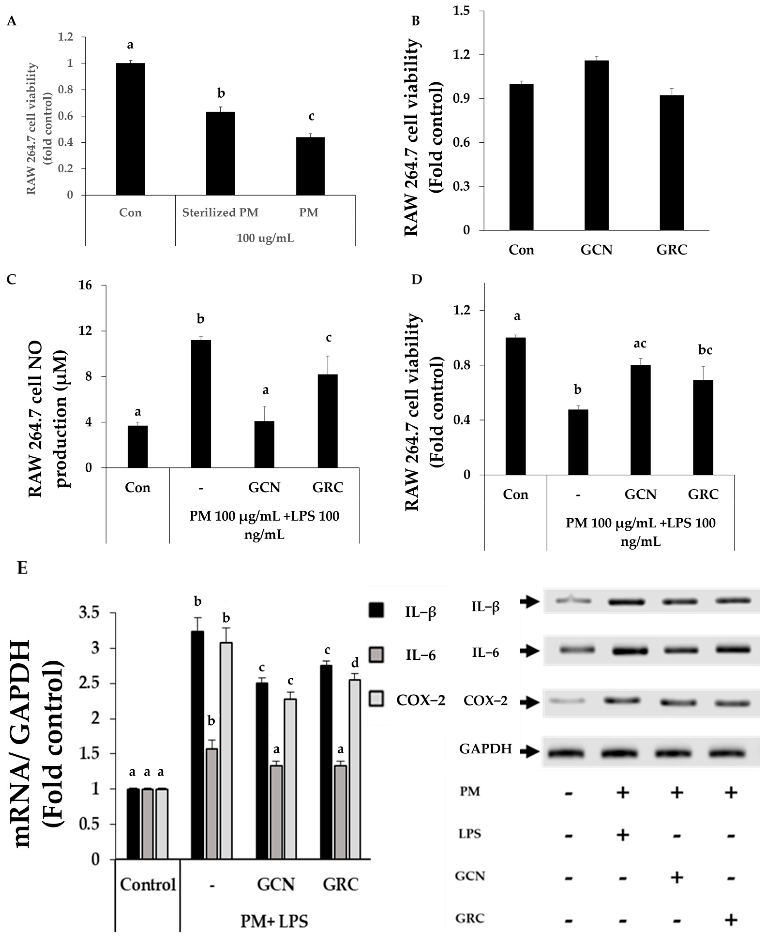 Ijms 25 10642 g005 Ijms 25 10642 g005