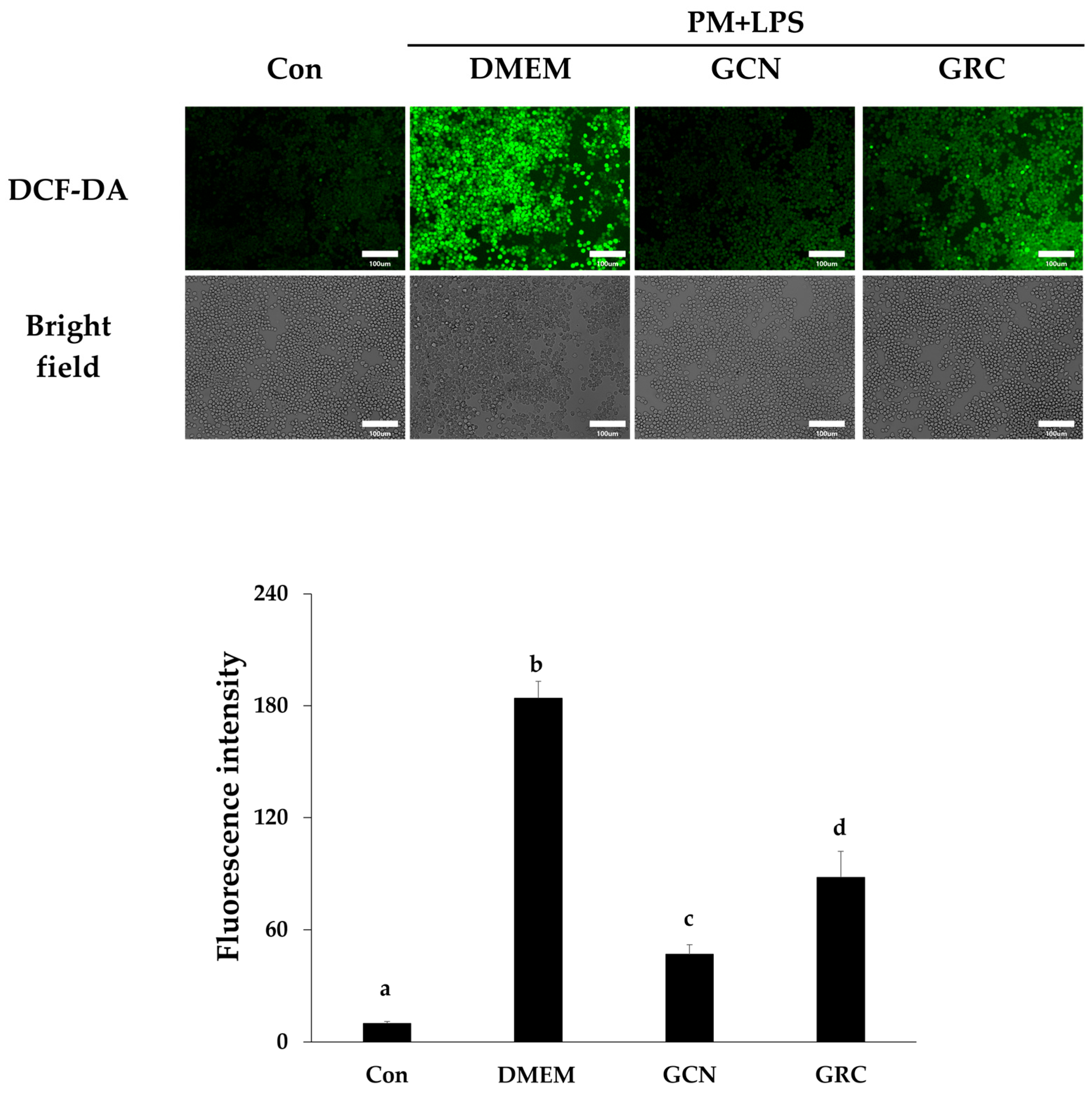 Ijms 25 10642 g007 Ijms 25 10642 g007