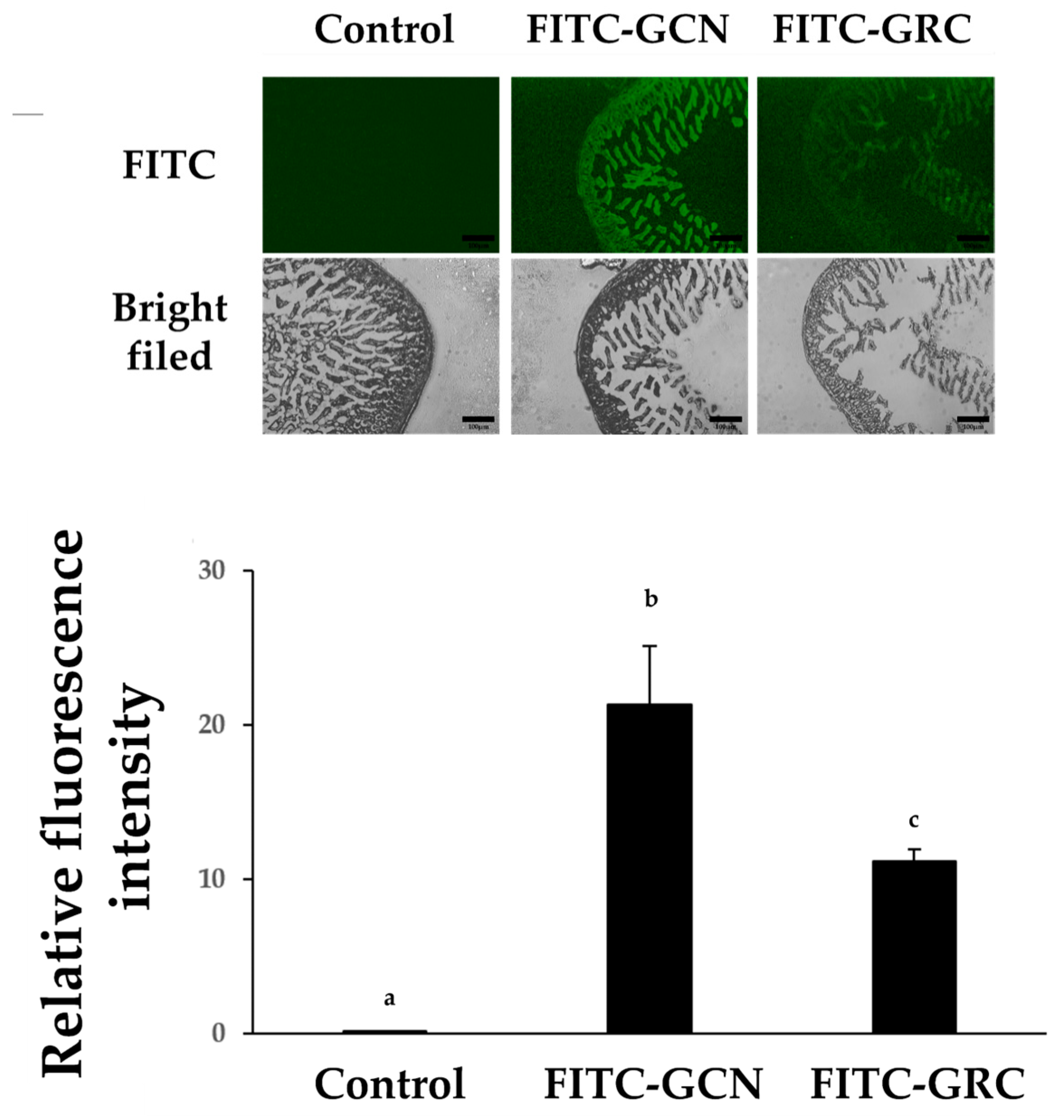 Ijms 25 10642 g008 Ijms 25 10642 g008