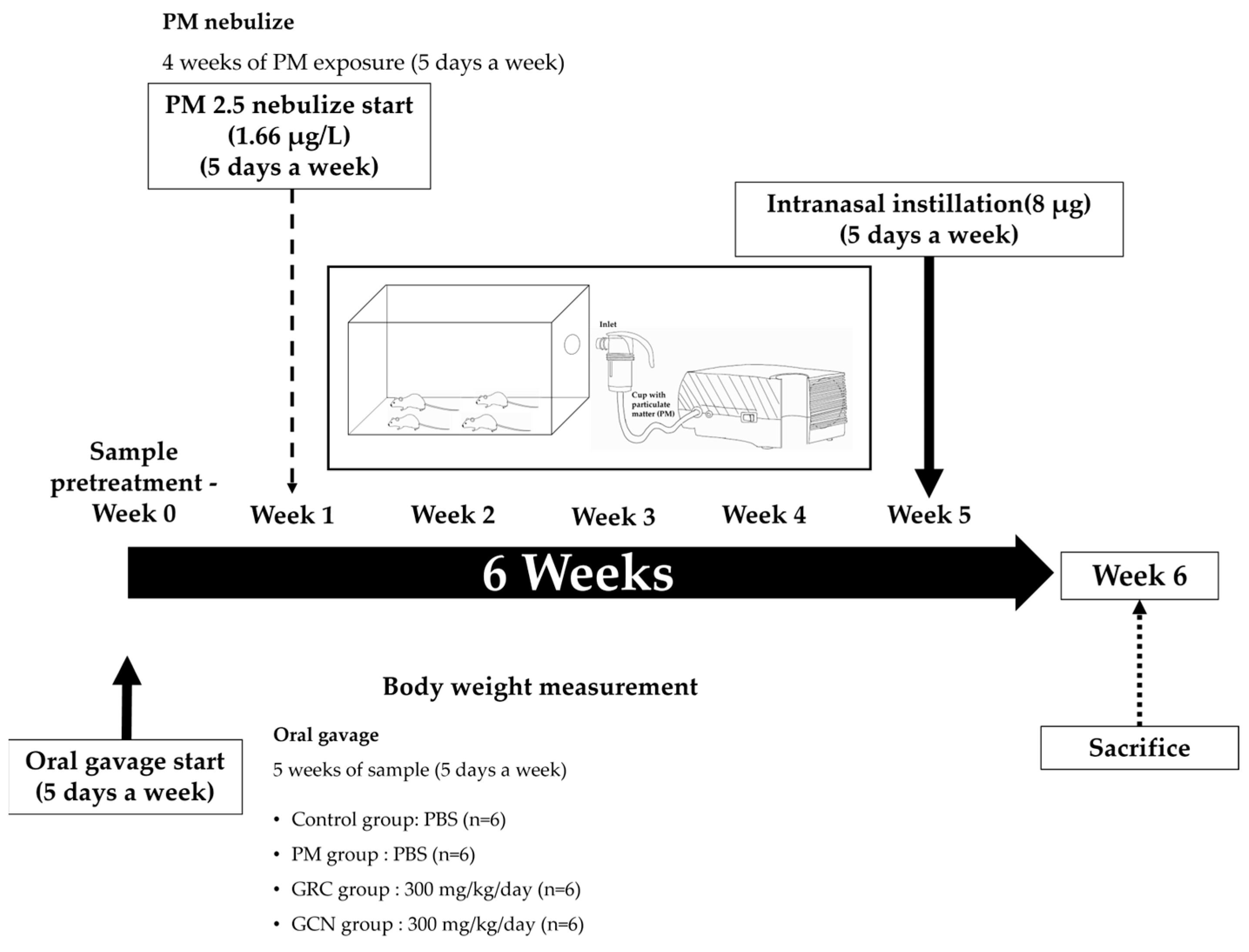 Ijms 25 10642 g009 Ijms 25 10642 g009
