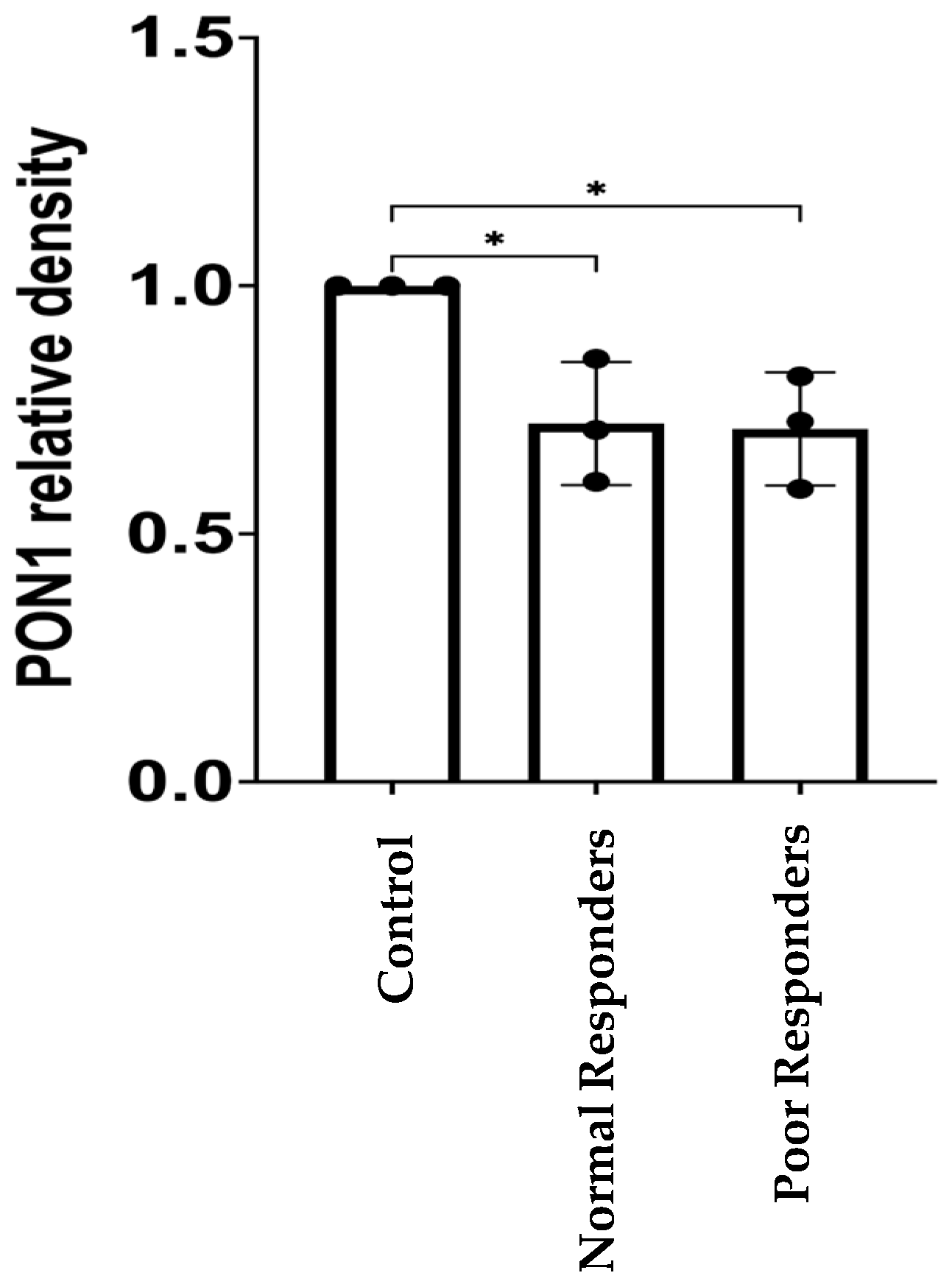 Ijms 25 10657 g003 Ijms 25 10657 g003