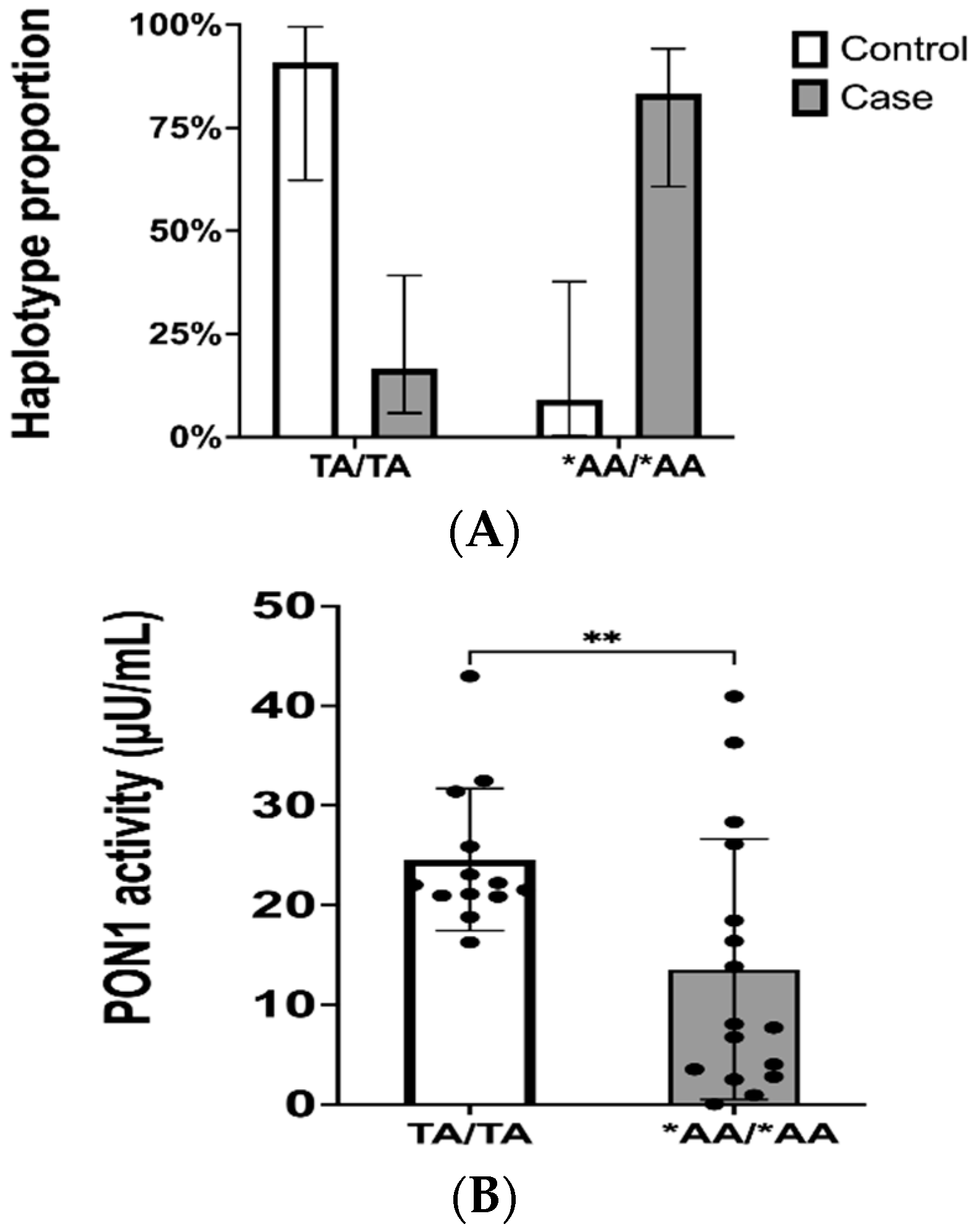 Ijms 25 10657 g004 Ijms 25 10657 g004