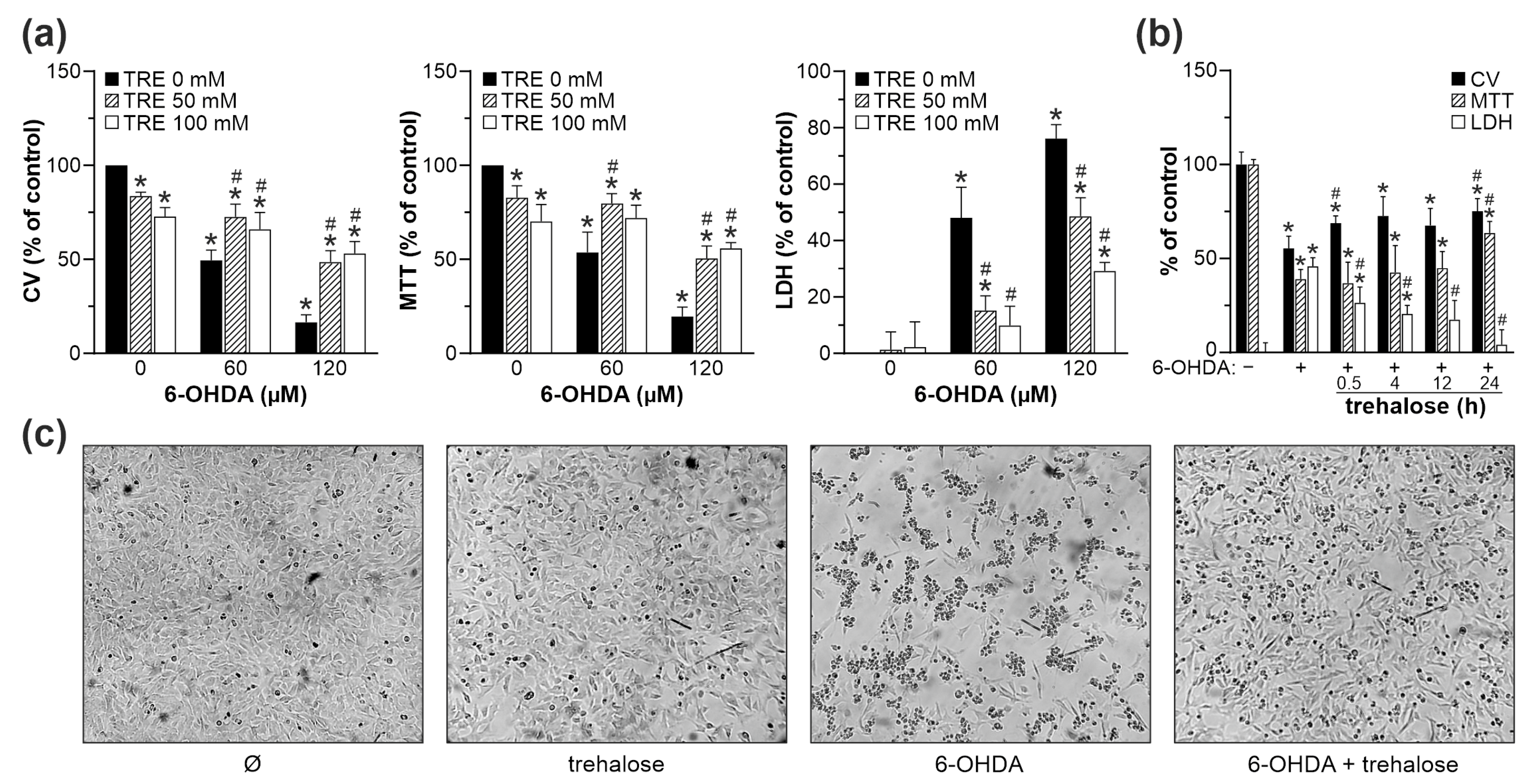 Ijms 25 10659 g001 Ijms 25 10659 g001