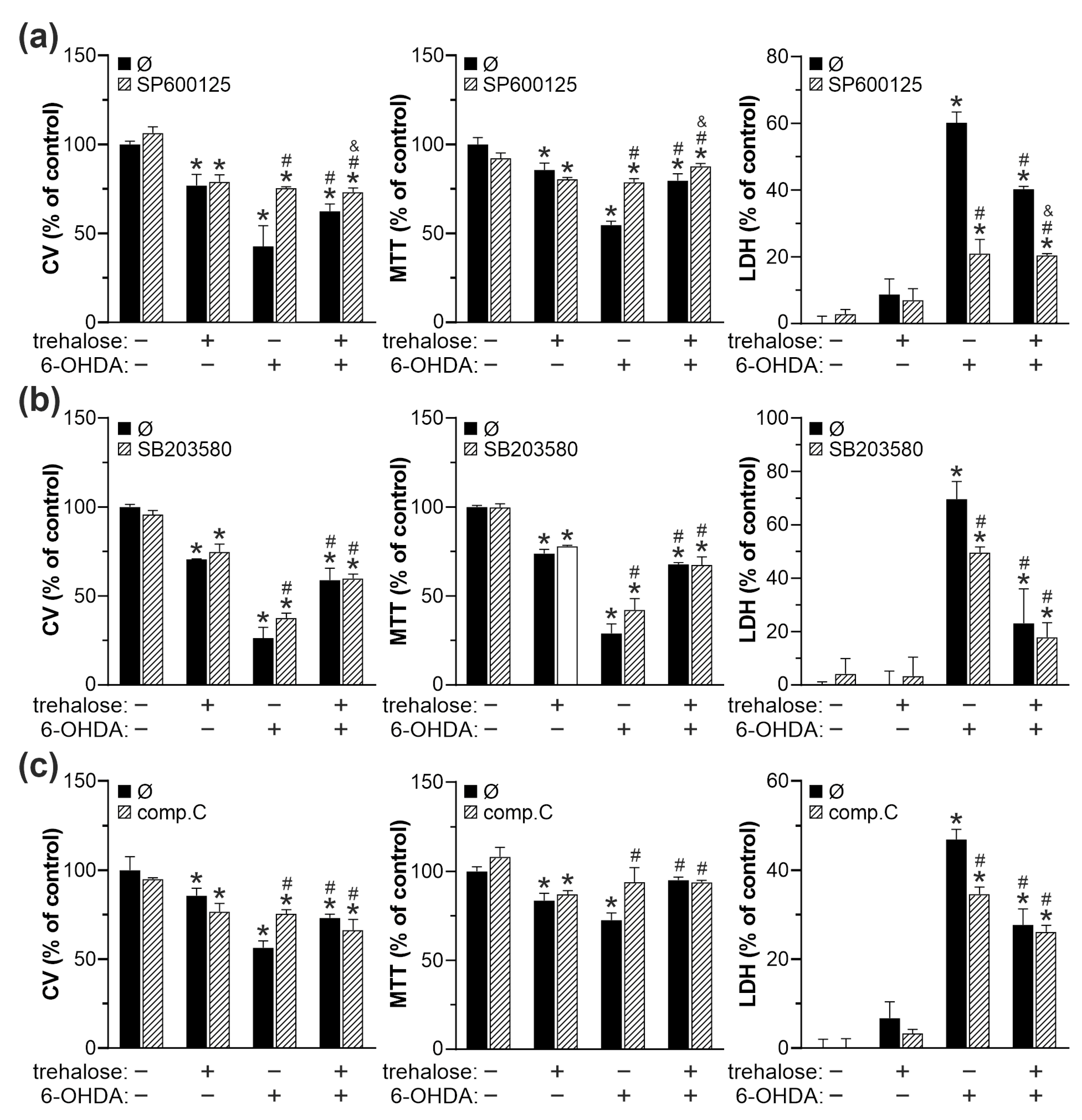 Ijms 25 10659 g008 Ijms 25 10659 g008