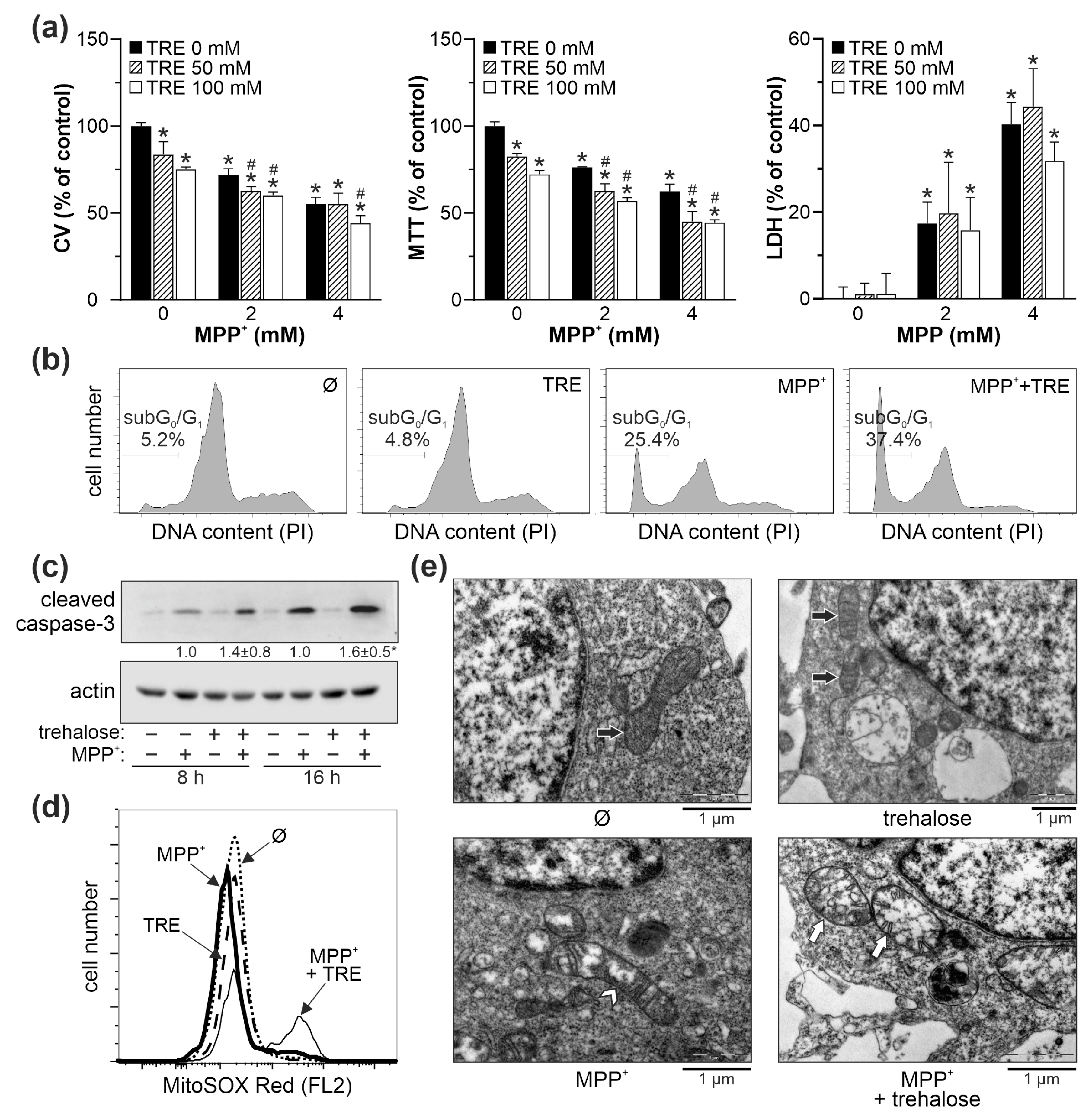 Ijms 25 10659 g009 Ijms 25 10659 g009