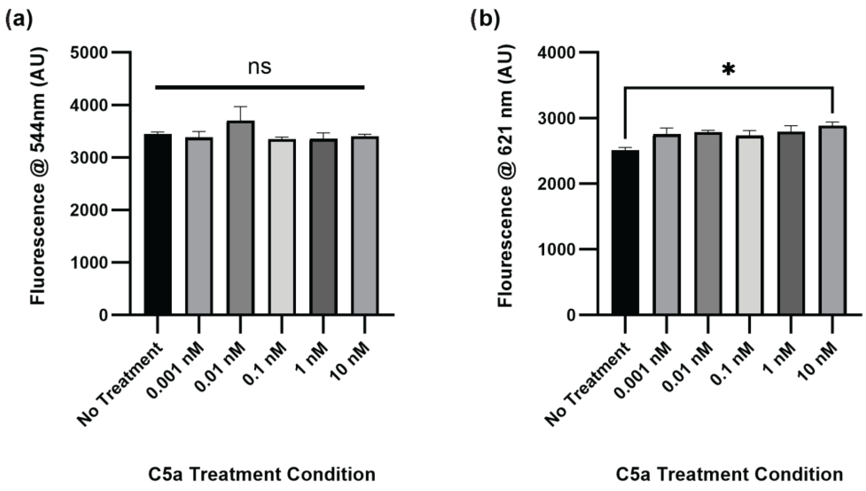 Ijms 25 10673 g002 Ijms 25 10673 g002