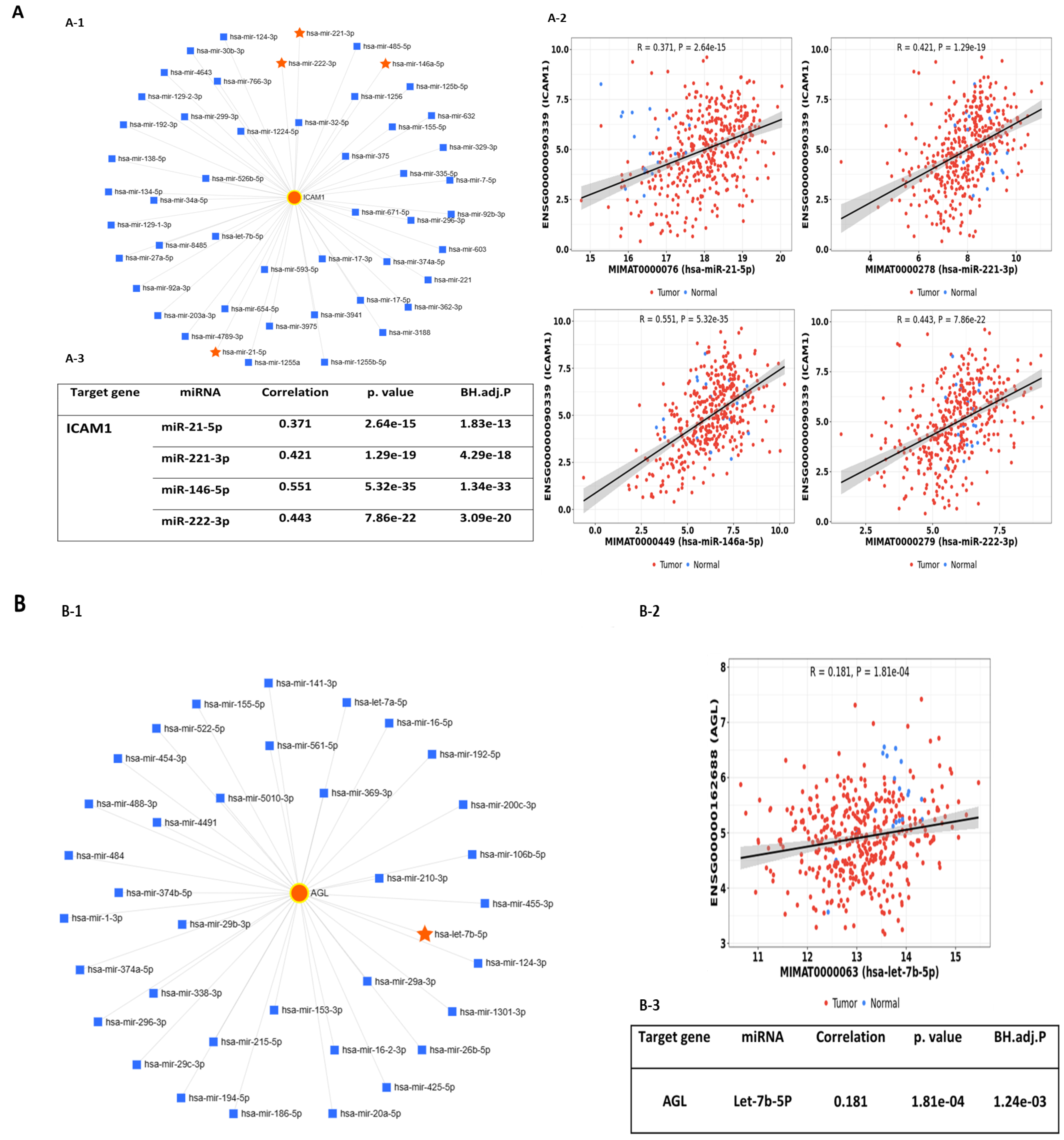 Ijms 25 10674 g001a Ijms 25 10674 g001a