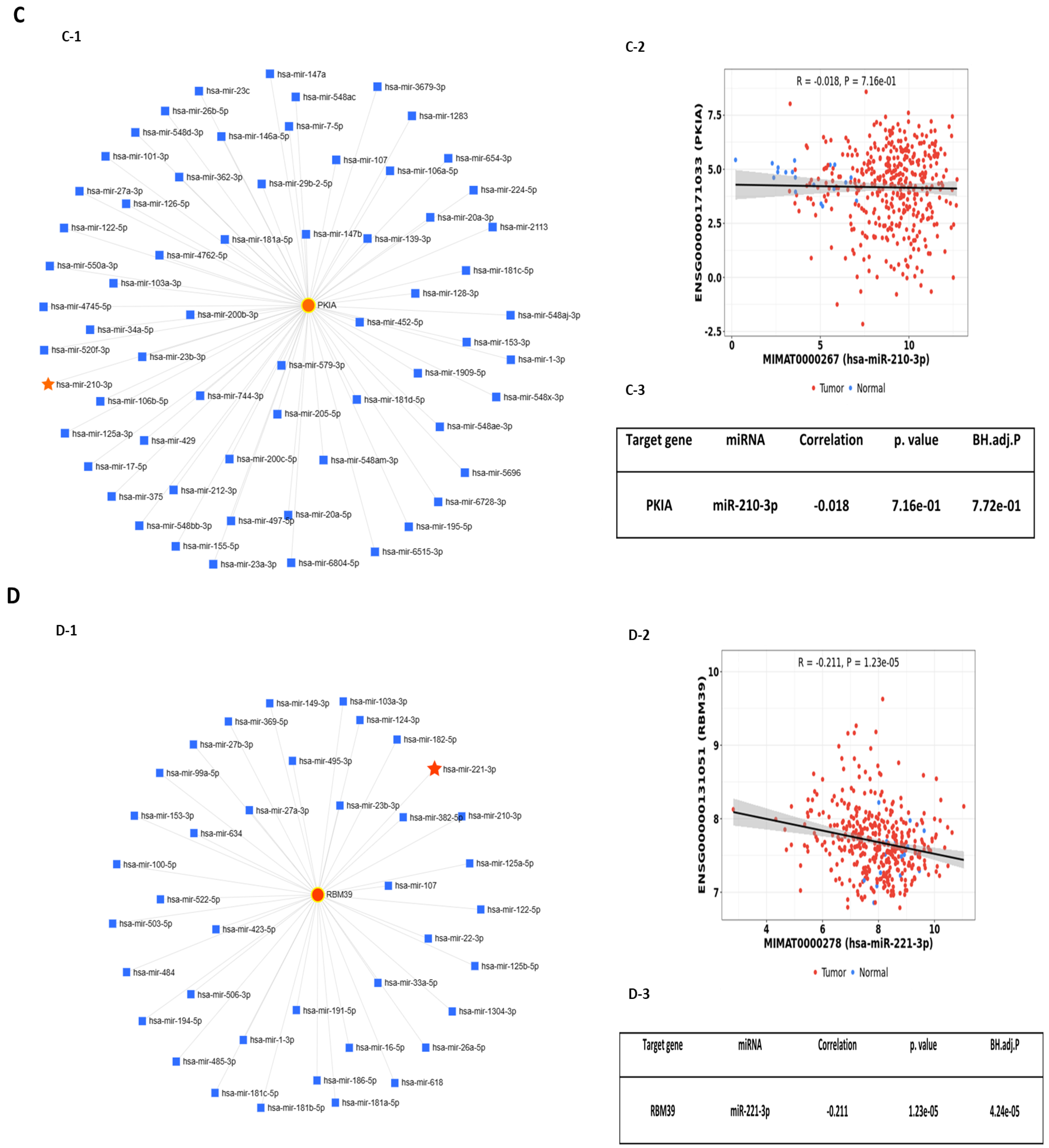 Ijms 25 10674 g001b Ijms 25 10674 g001b