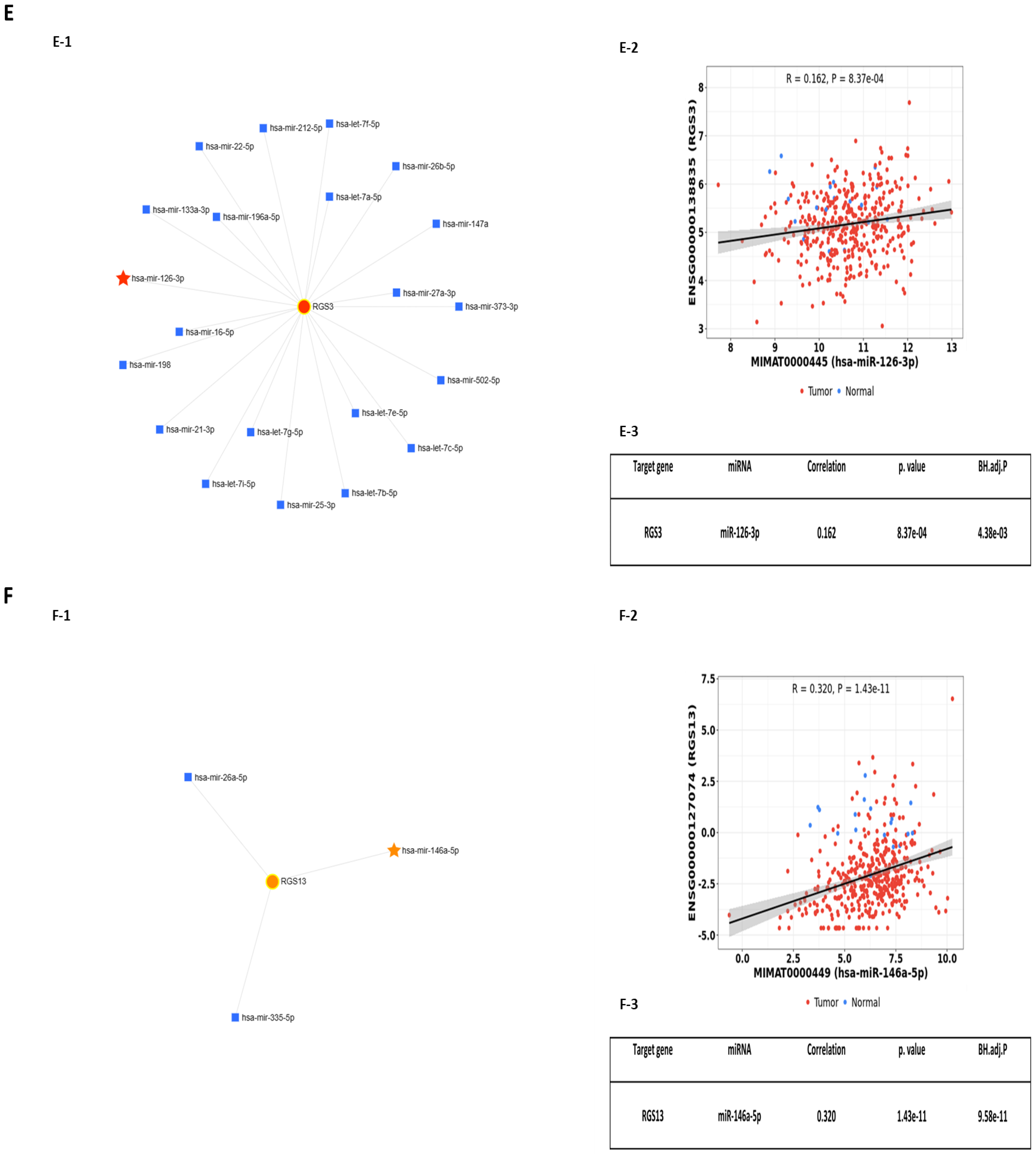 Ijms 25 10674 g001c Ijms 25 10674 g001c