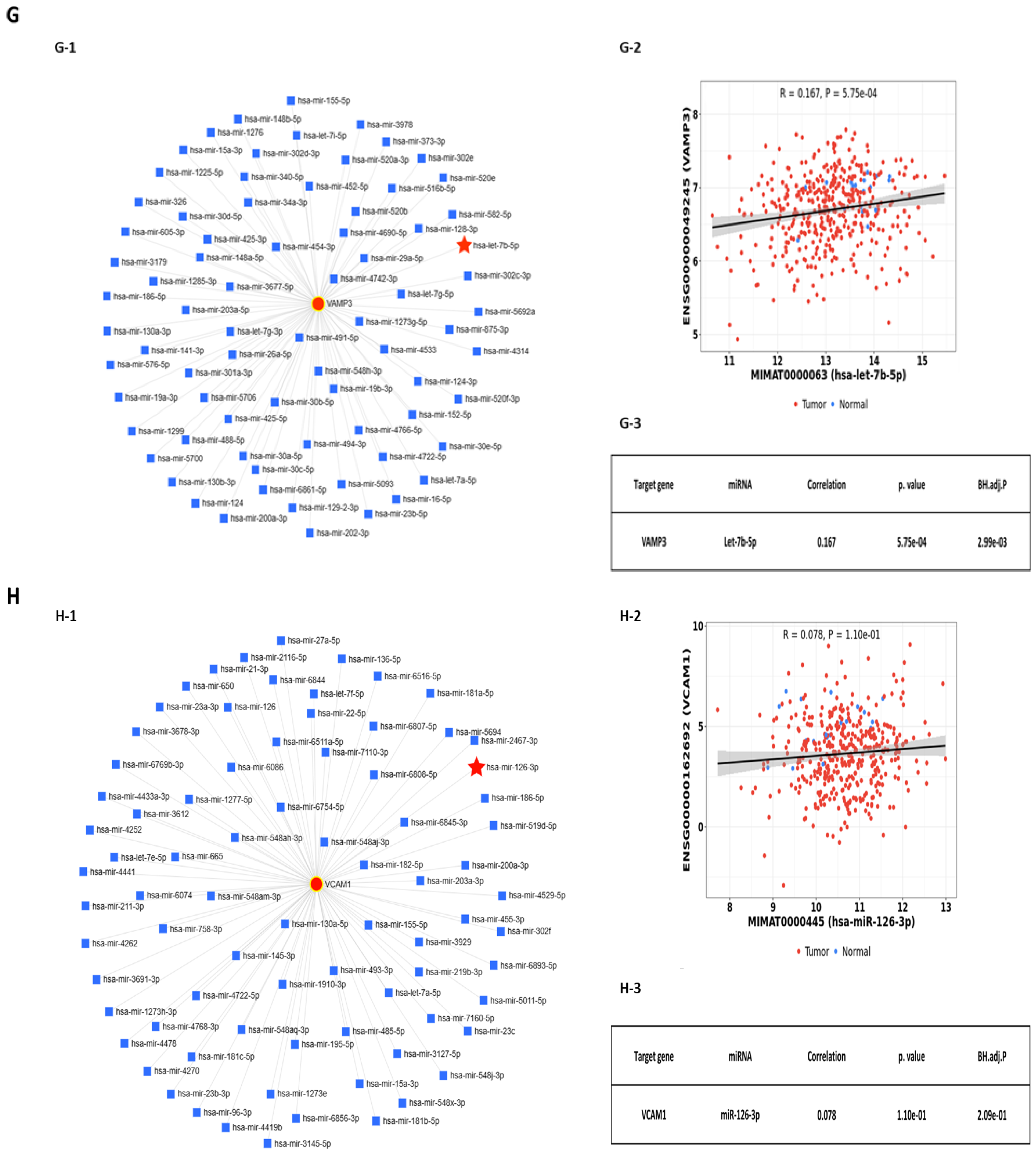 Ijms 25 10674 g001d Ijms 25 10674 g001d