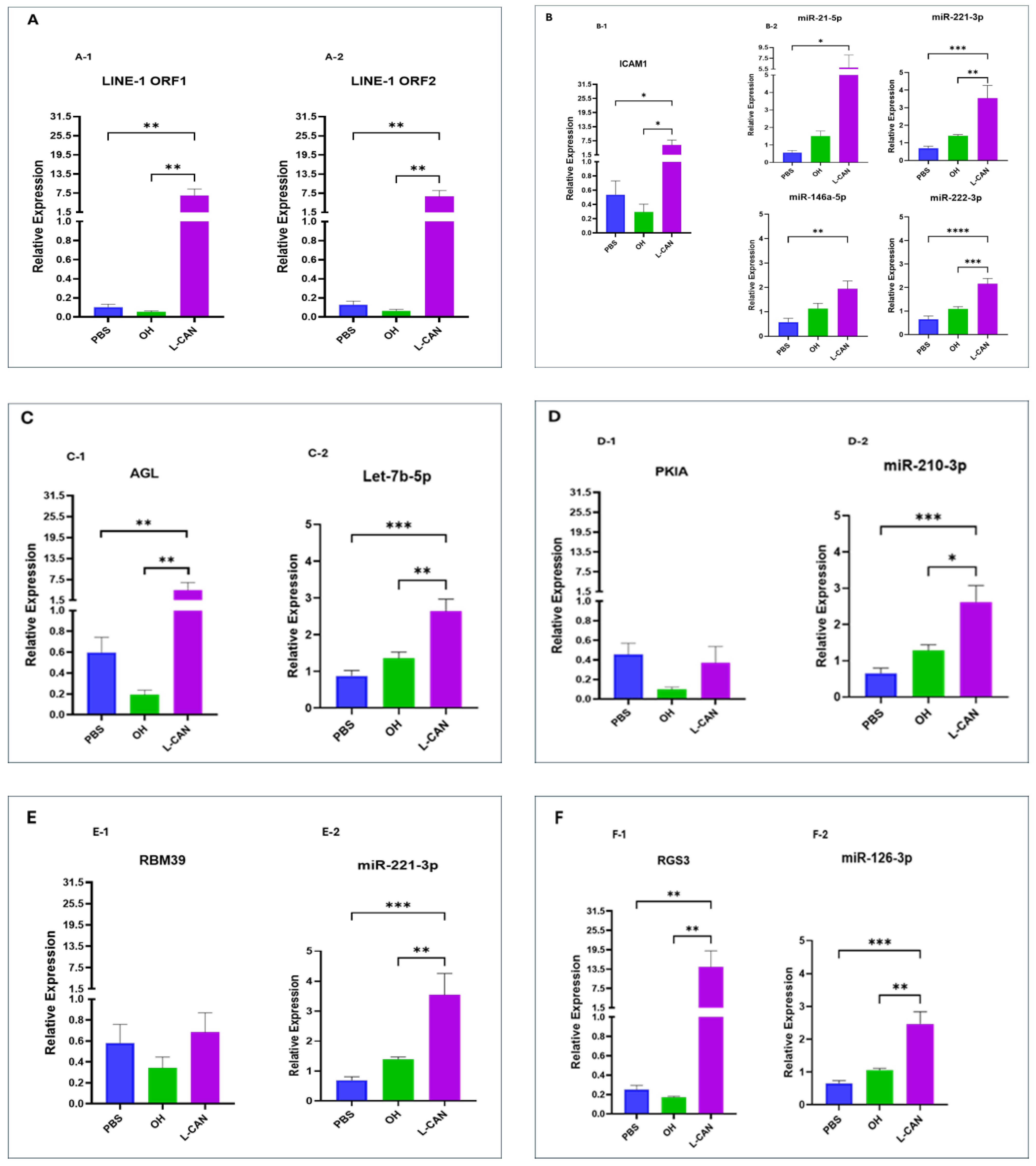 Ijms 25 10674 g002a Ijms 25 10674 g002a
