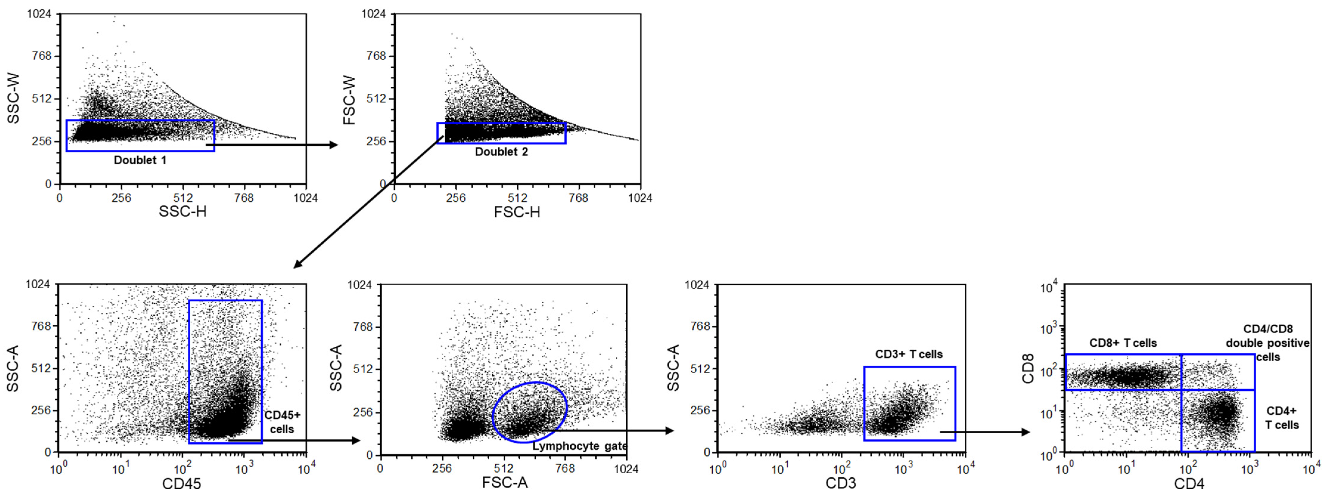 Ijms 25 10676 g001 Ijms 25 10676 g001