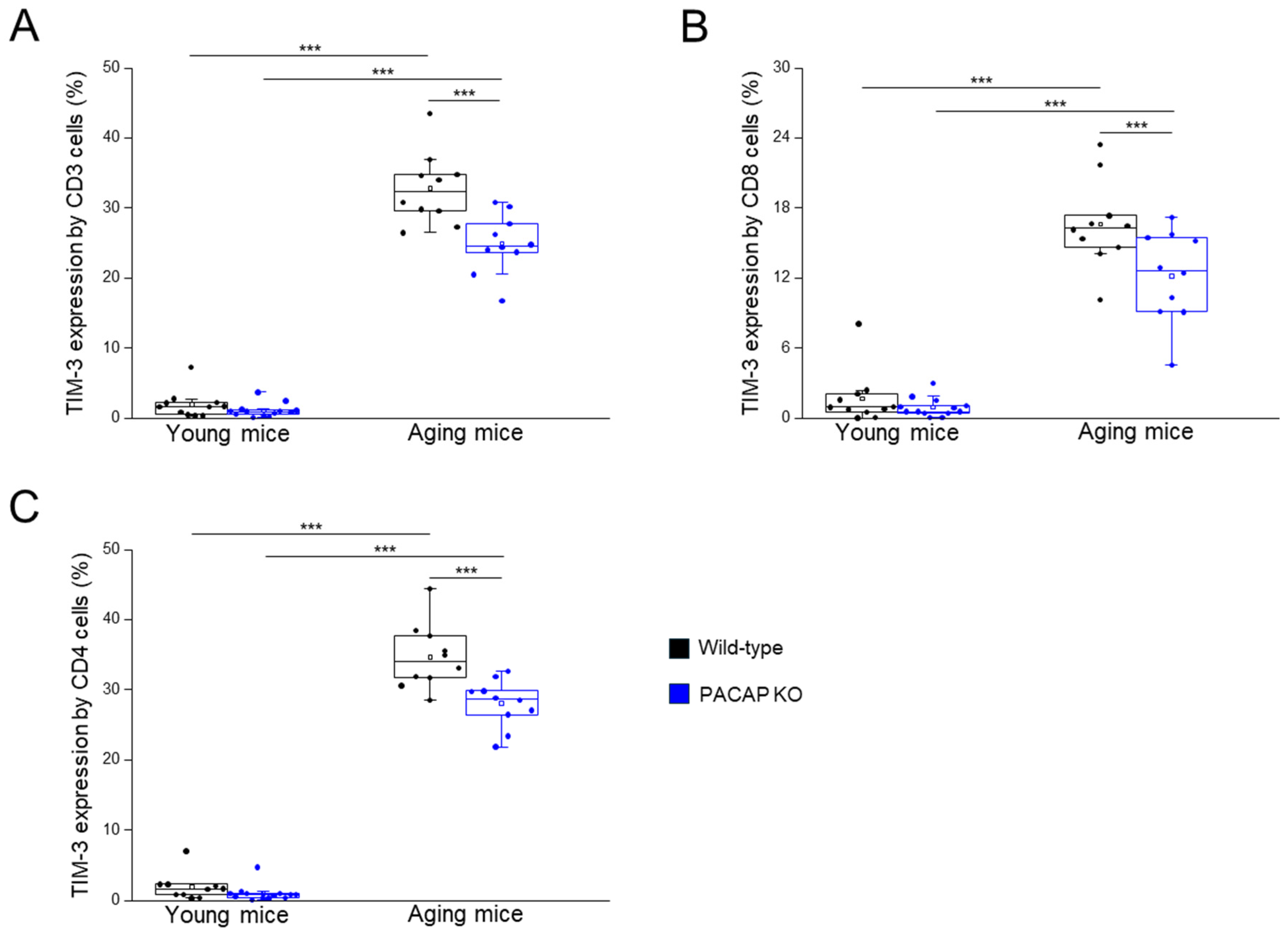 Ijms 25 10676 g003 Ijms 25 10676 g003