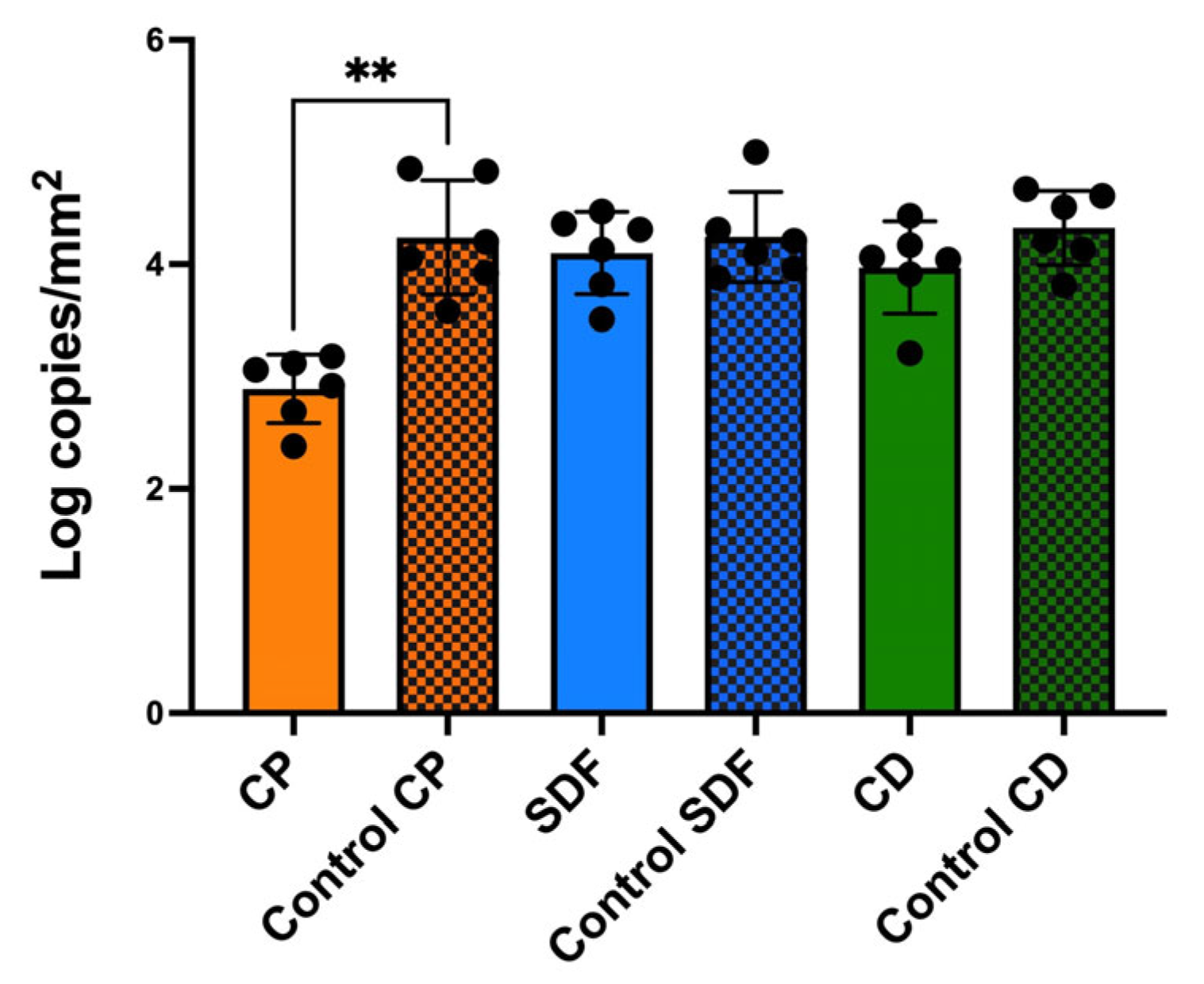 Ijms 25 10703 g004 Ijms 25 10703 g004