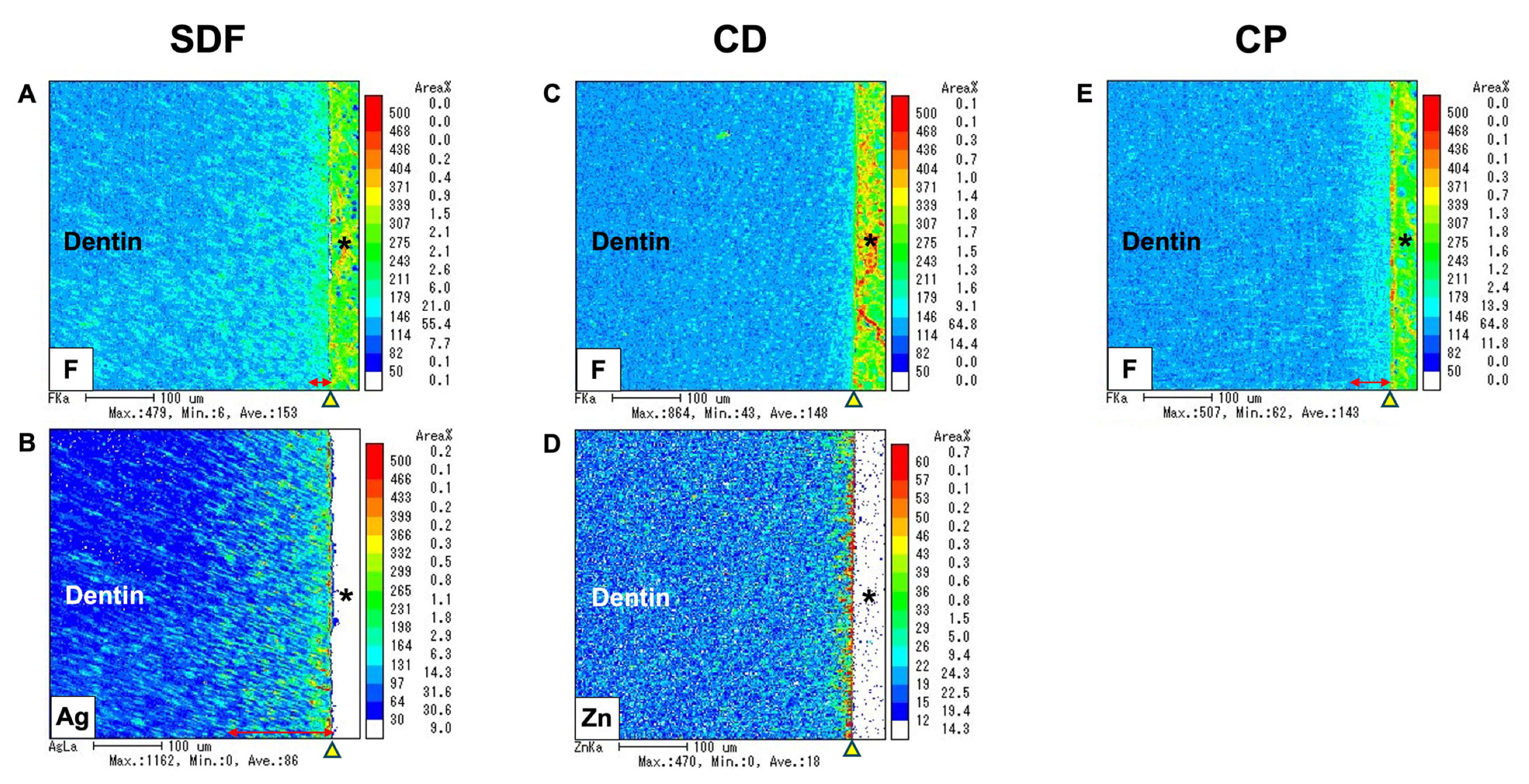 Ijms 25 10703 g007 Ijms 25 10703 g007