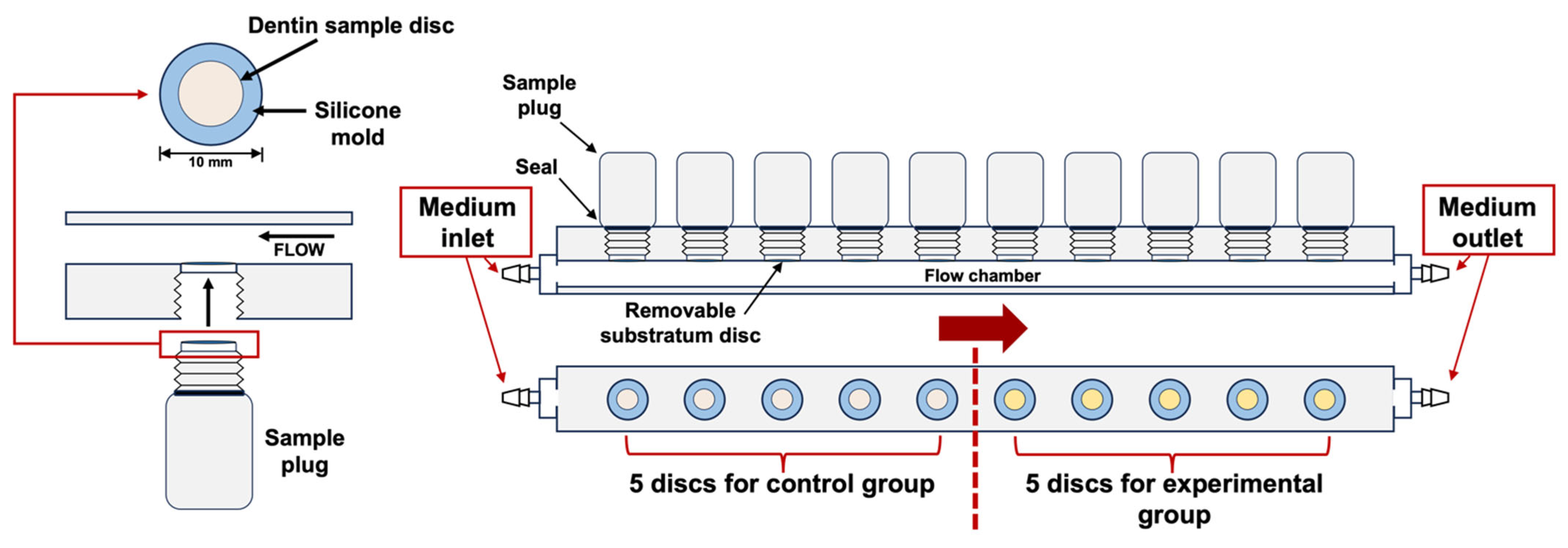 Ijms 25 10703 g009 Ijms 25 10703 g009