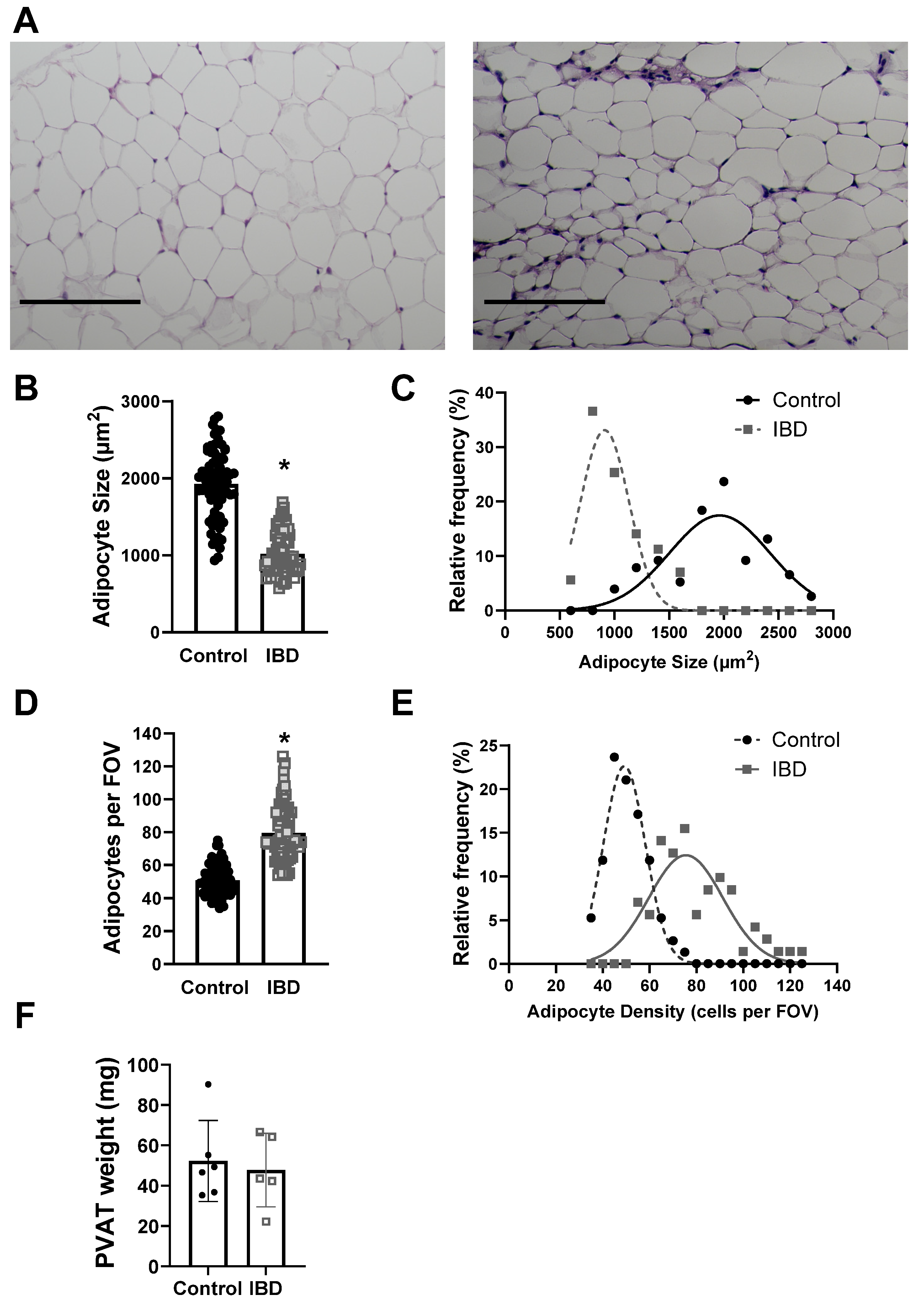 Ijms 25 10726 g002 Ijms 25 10726 g002