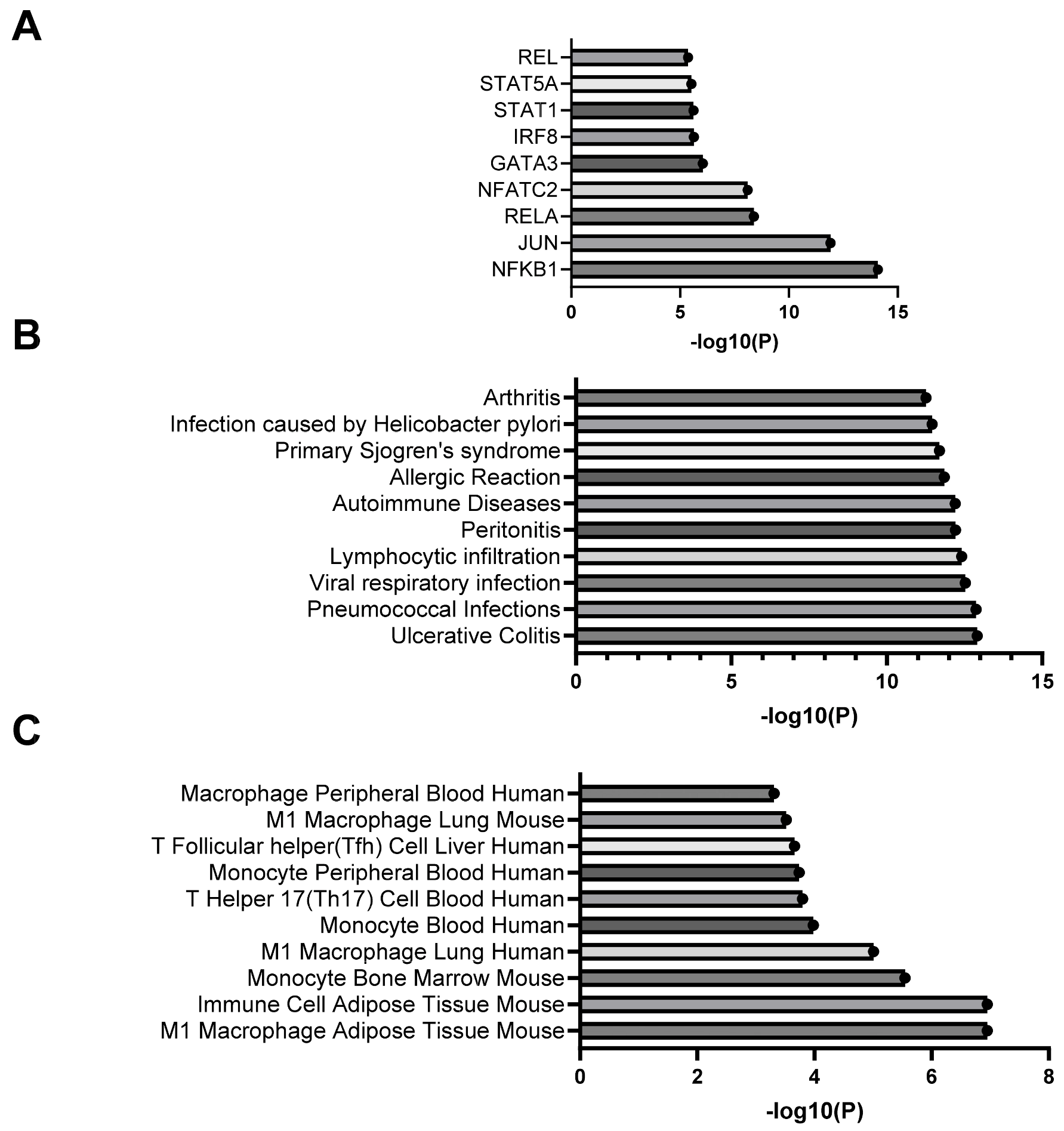 Ijms 25 10726 g004 Ijms 25 10726 g004
