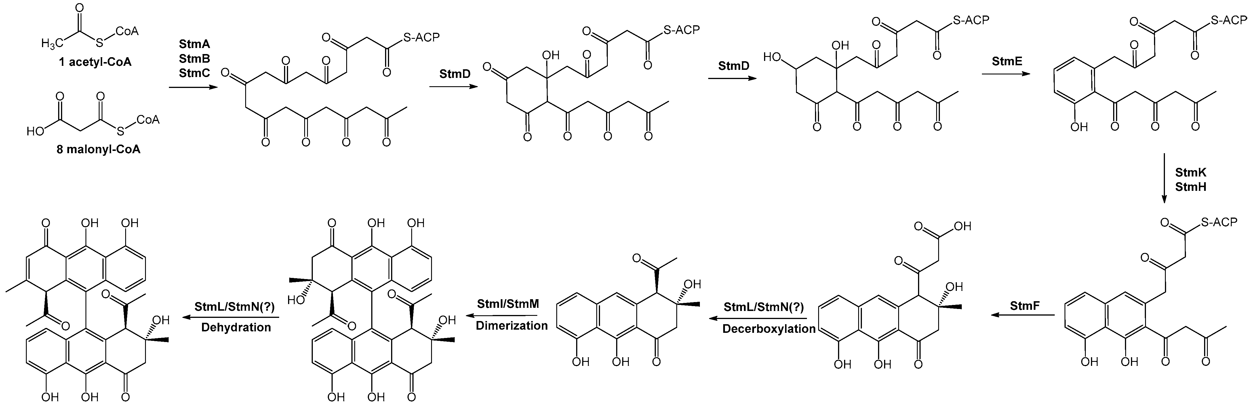 Ijms 25 10758 g003 Ijms 25 10758 g003