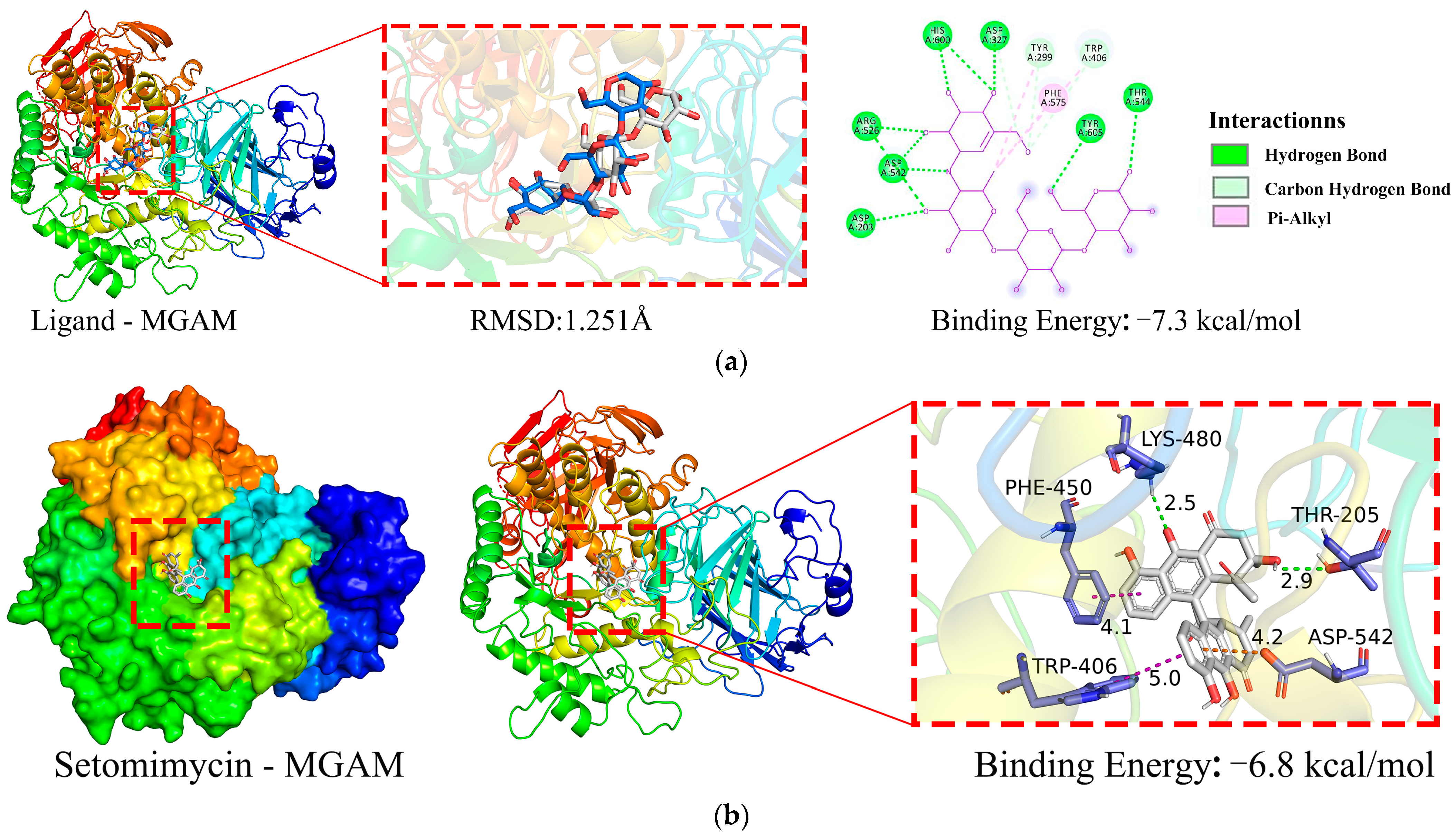 Ijms 25 10758 g005 Ijms 25 10758 g005