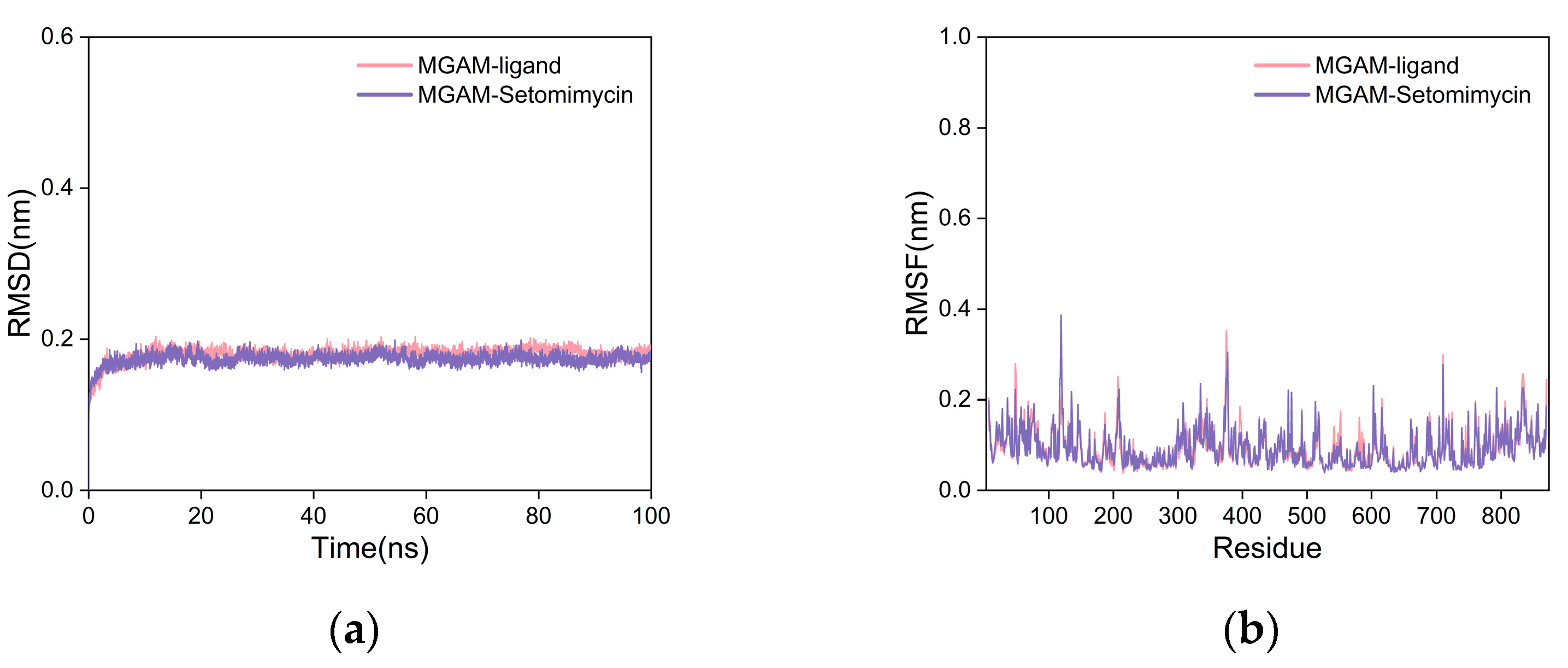 Ijms 25 10758 g006 Ijms 25 10758 g006