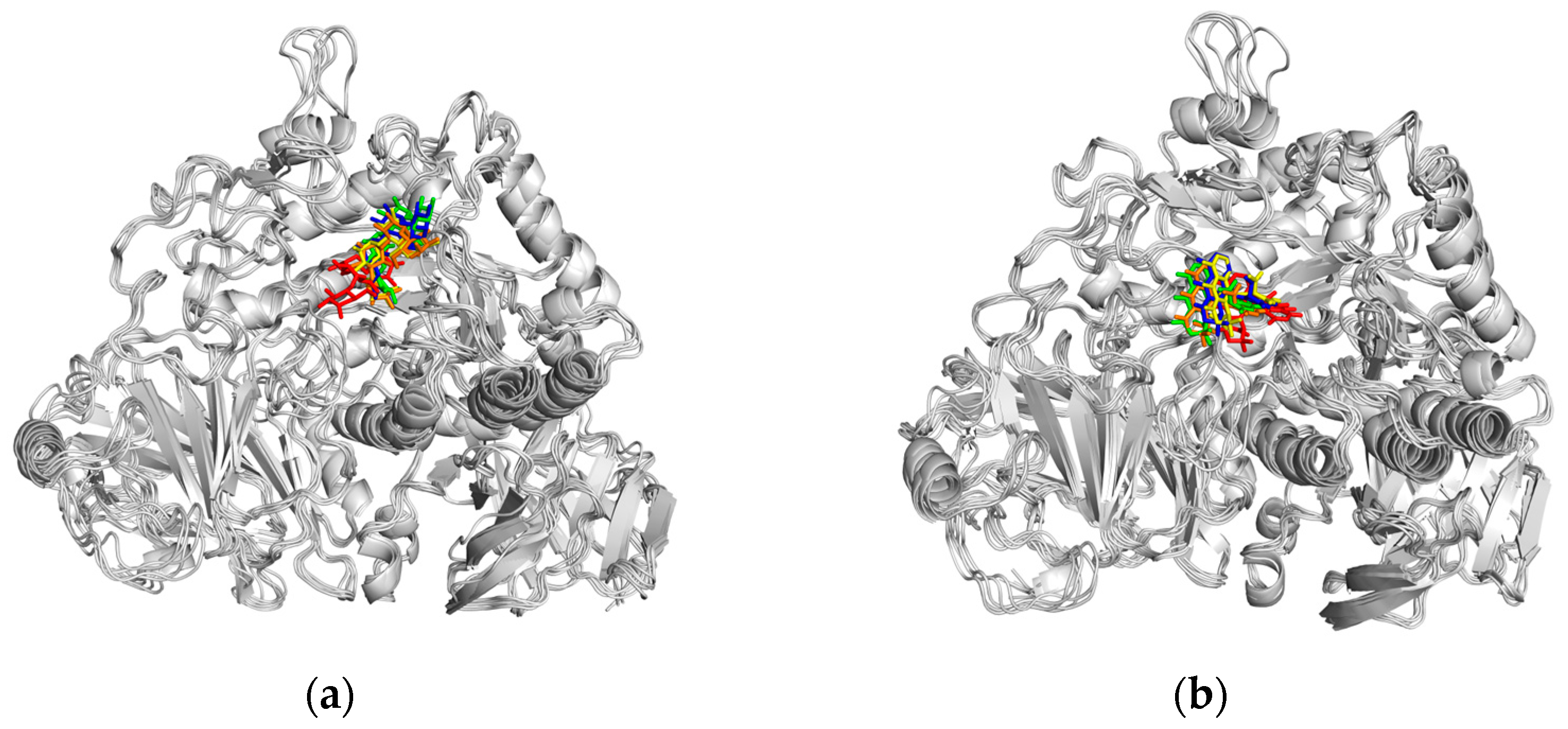 Ijms 25 10758 g011 Ijms 25 10758 g011