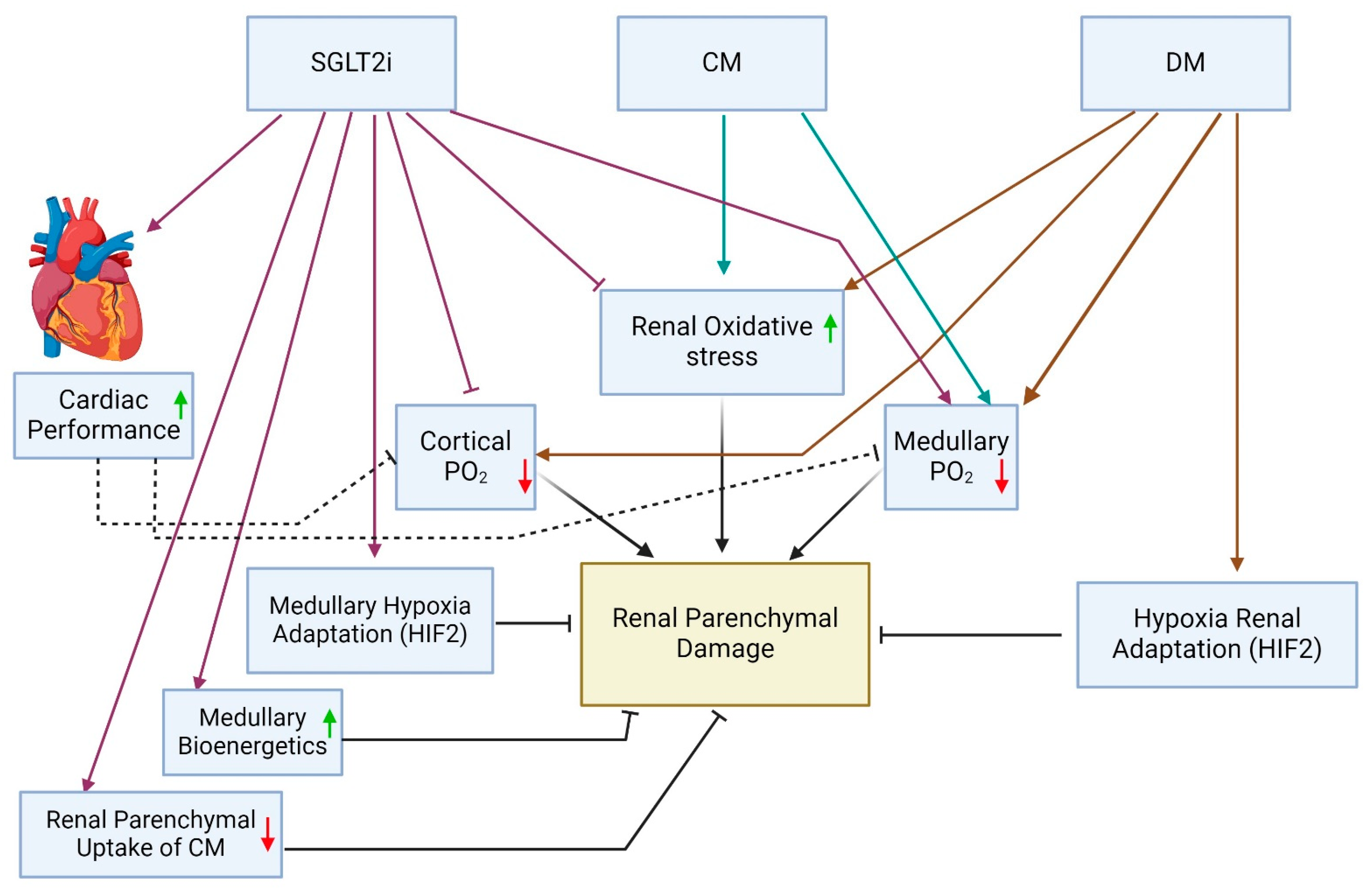 Ijms 25 10759 g001 Ijms 25 10759 g001