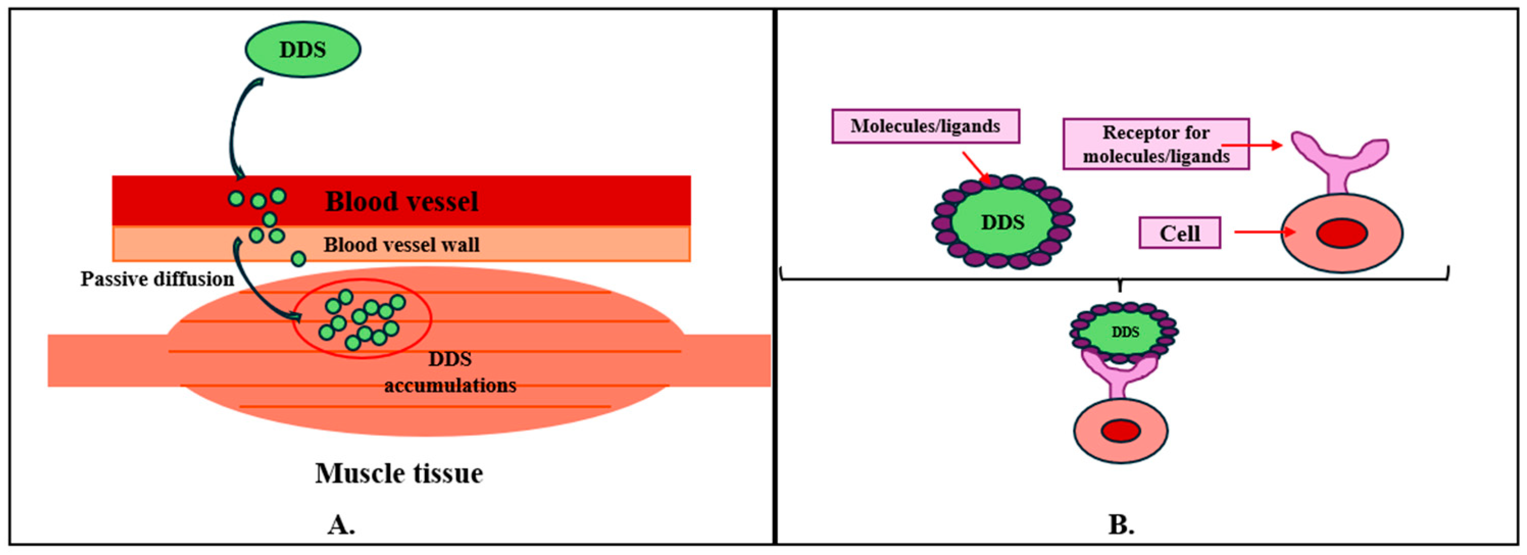 Ijms 25 10766 g001 Ijms 25 10766 g001