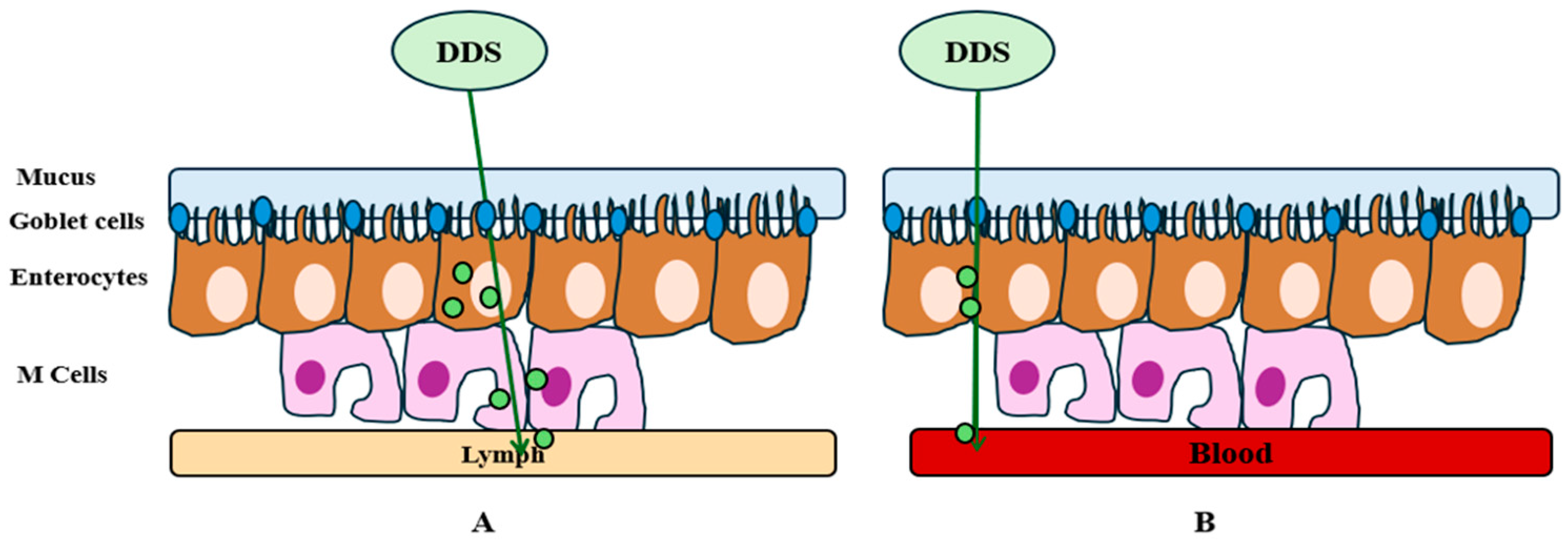 Ijms 25 10766 g002 Ijms 25 10766 g002