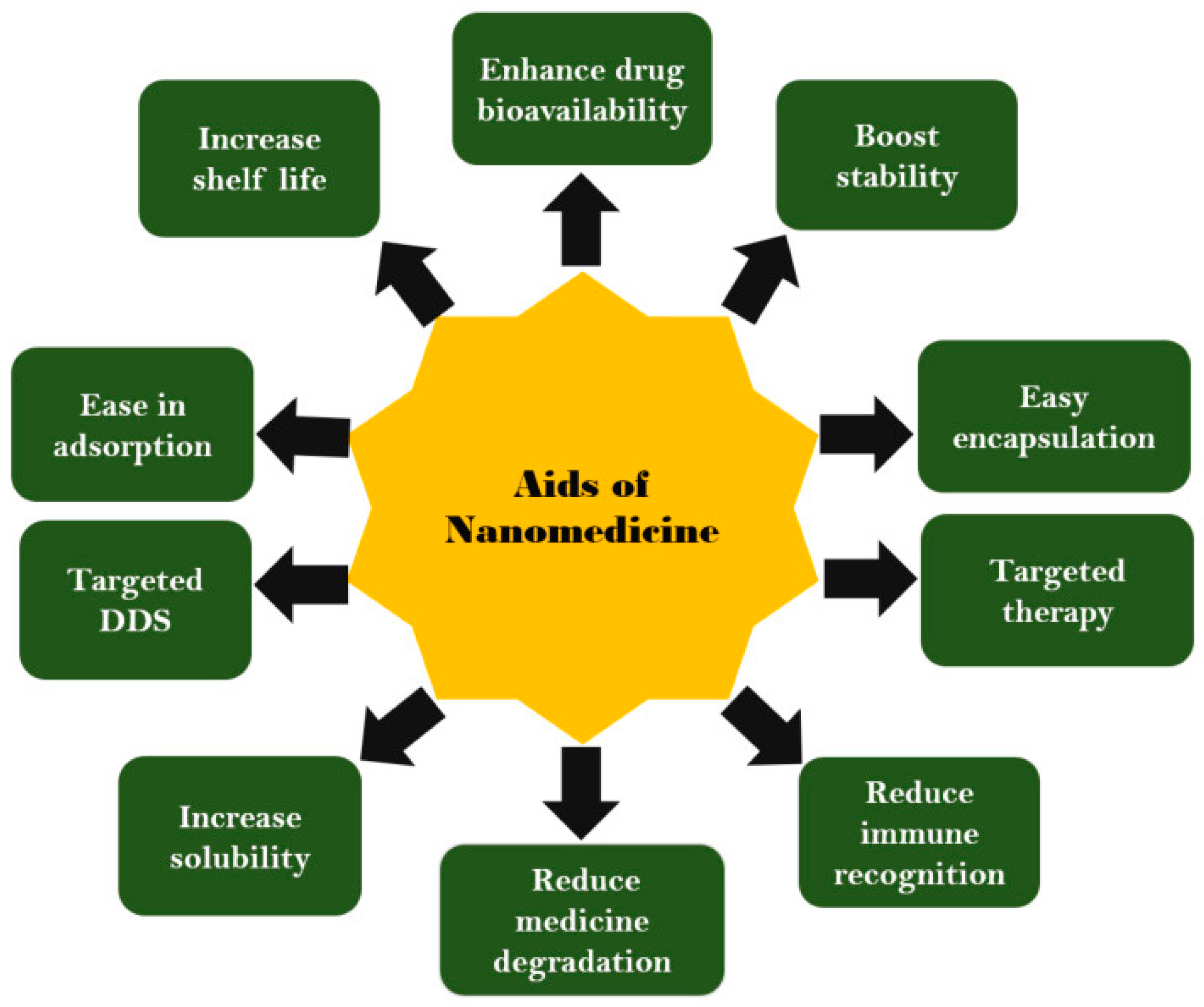 Ijms 25 10766 g004 Ijms 25 10766 g004