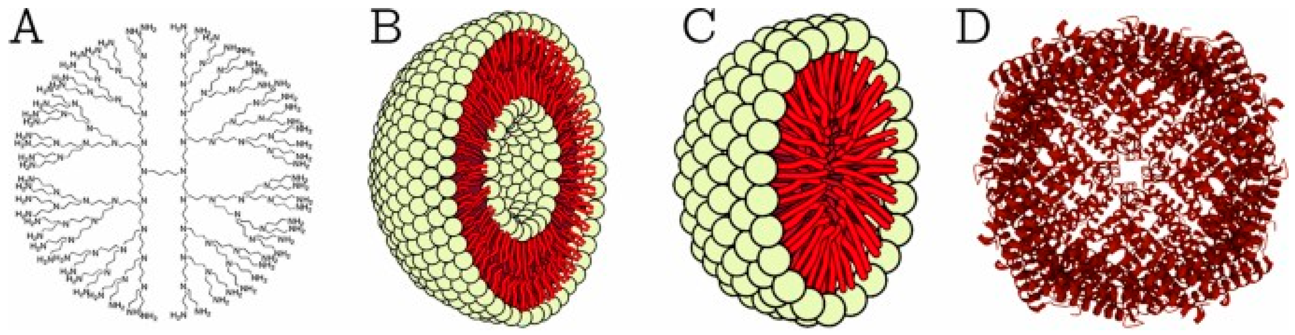 Ijms 25 10766 g005 Ijms 25 10766 g005