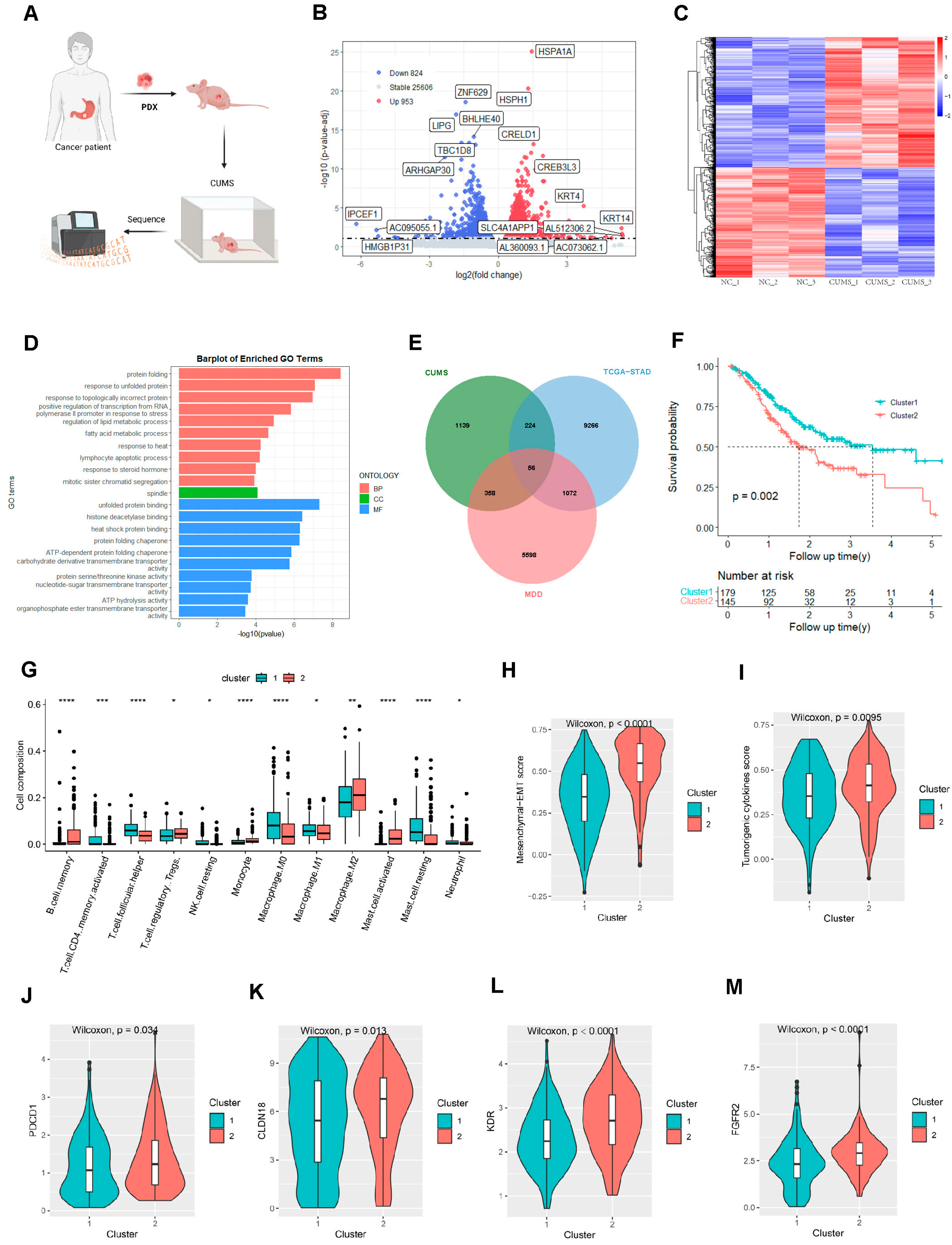 Ijms 25 10776 g001a Ijms 25 10776 g001a