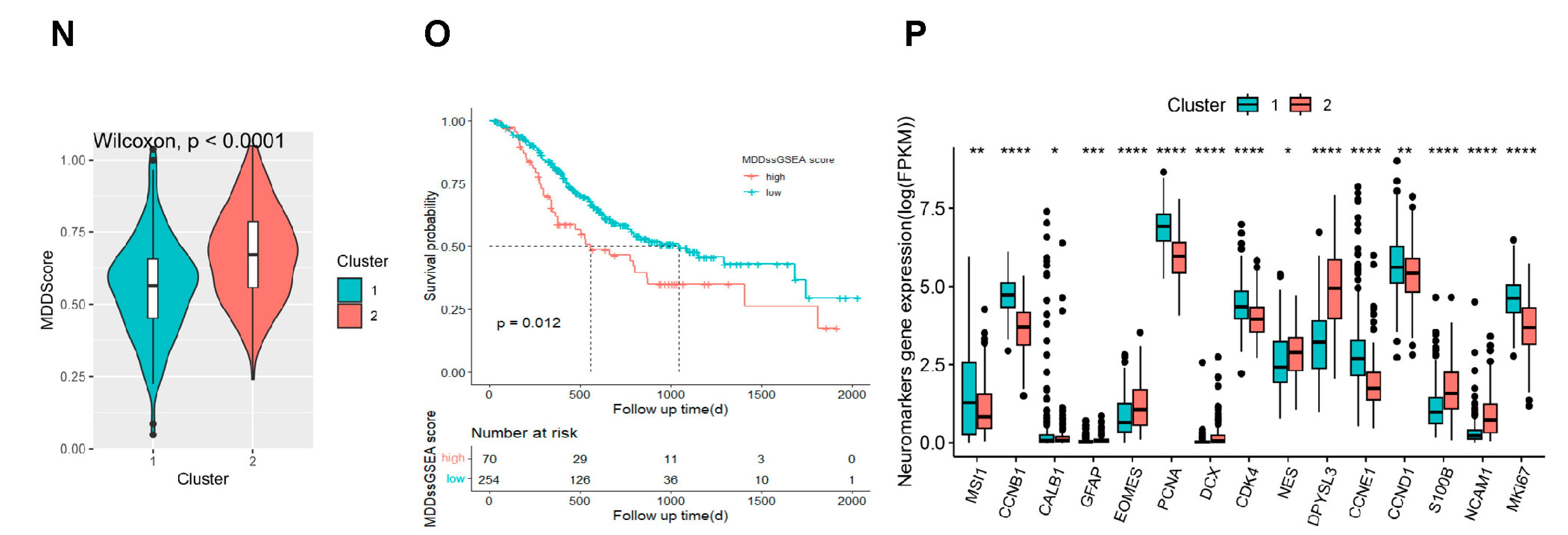 Ijms 25 10776 g001b Ijms 25 10776 g001b