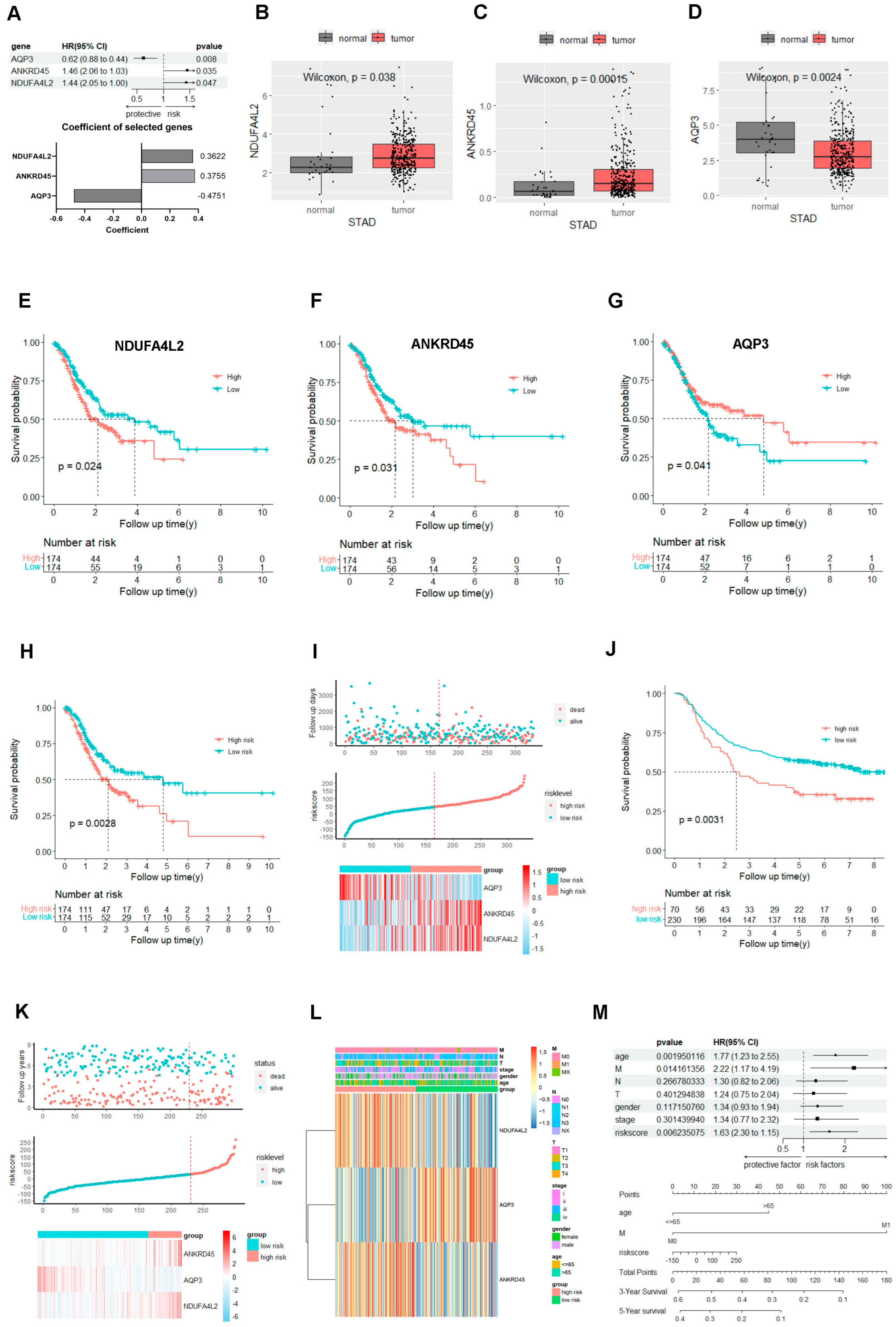 Ijms 25 10776 g002 Ijms 25 10776 g002