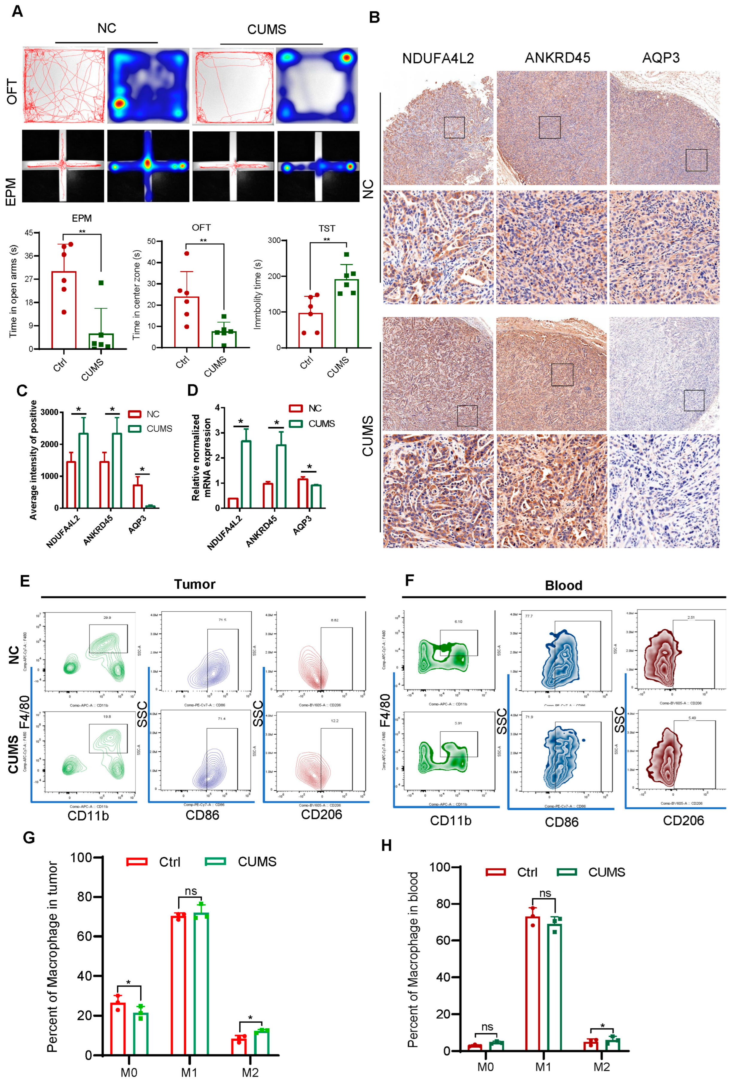 Ijms 25 10776 g005 Ijms 25 10776 g005