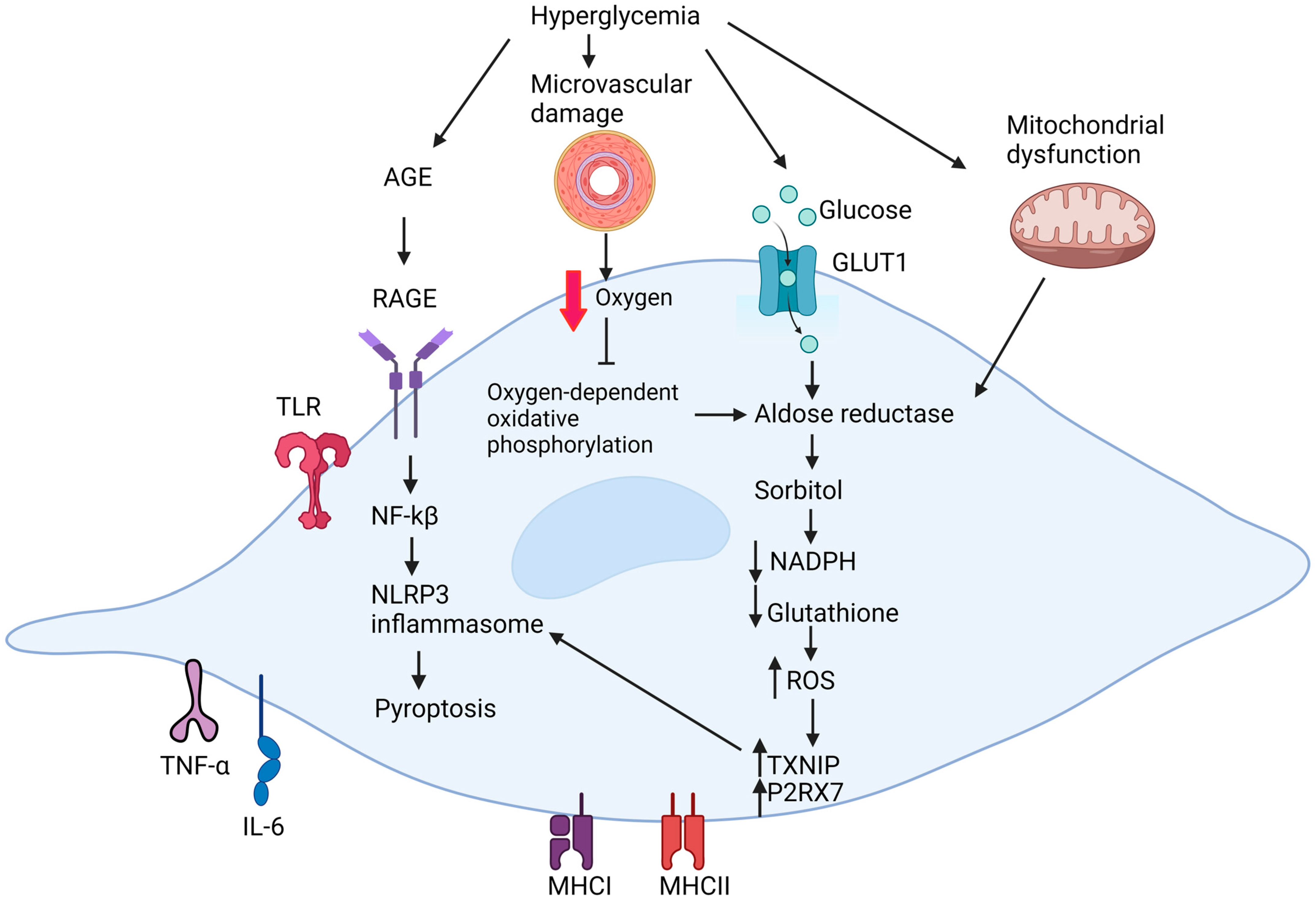 Ijms 25 10785 g001 Ijms 25 10785 g001