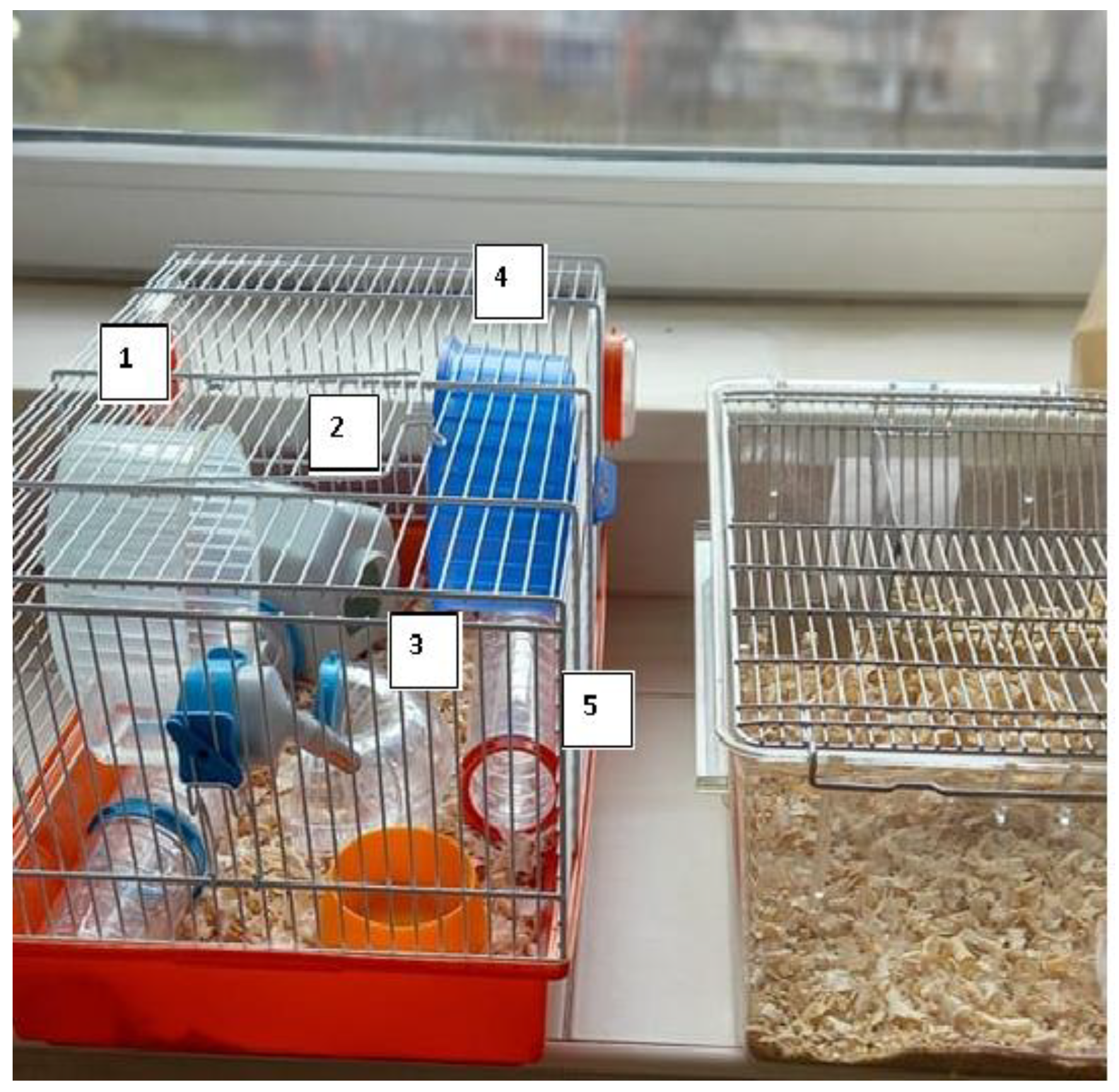 Ijms 25 10786 g003 Ijms 25 10786 g003