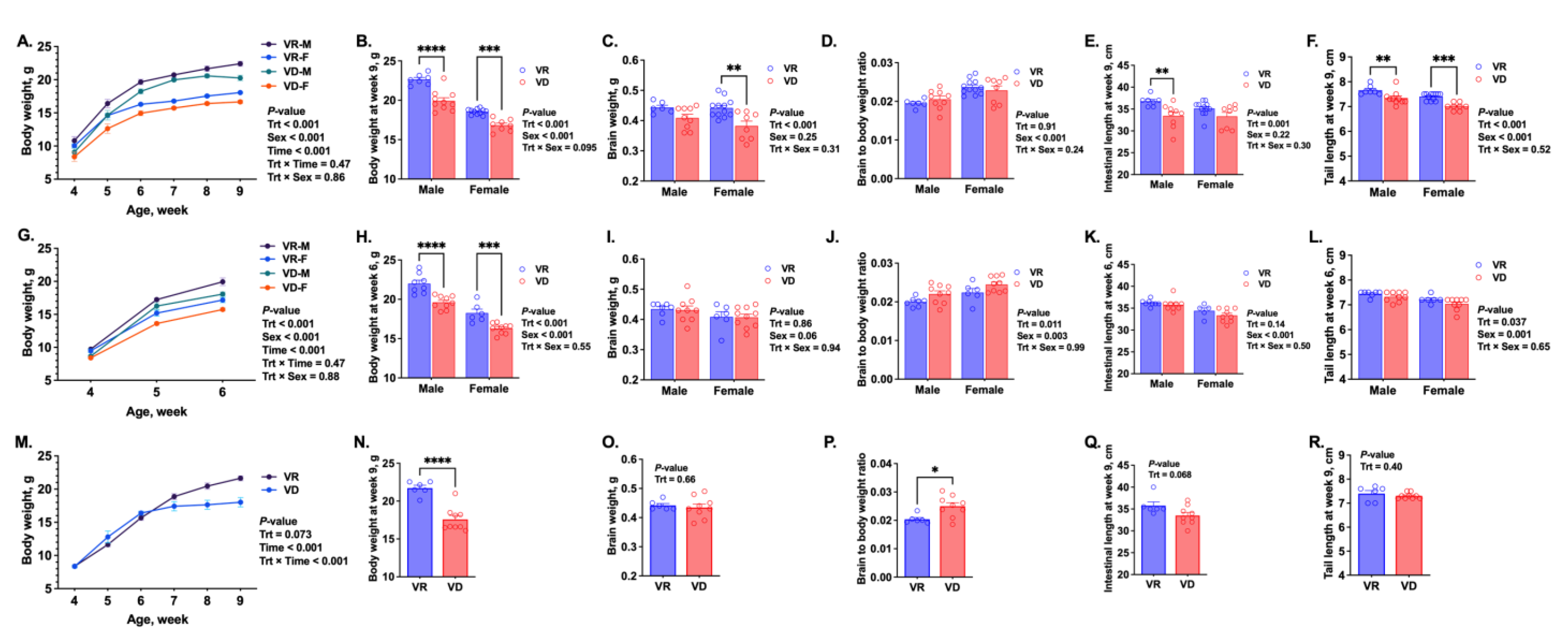 Ijms 25 10806 g001 Ijms 25 10806 g001