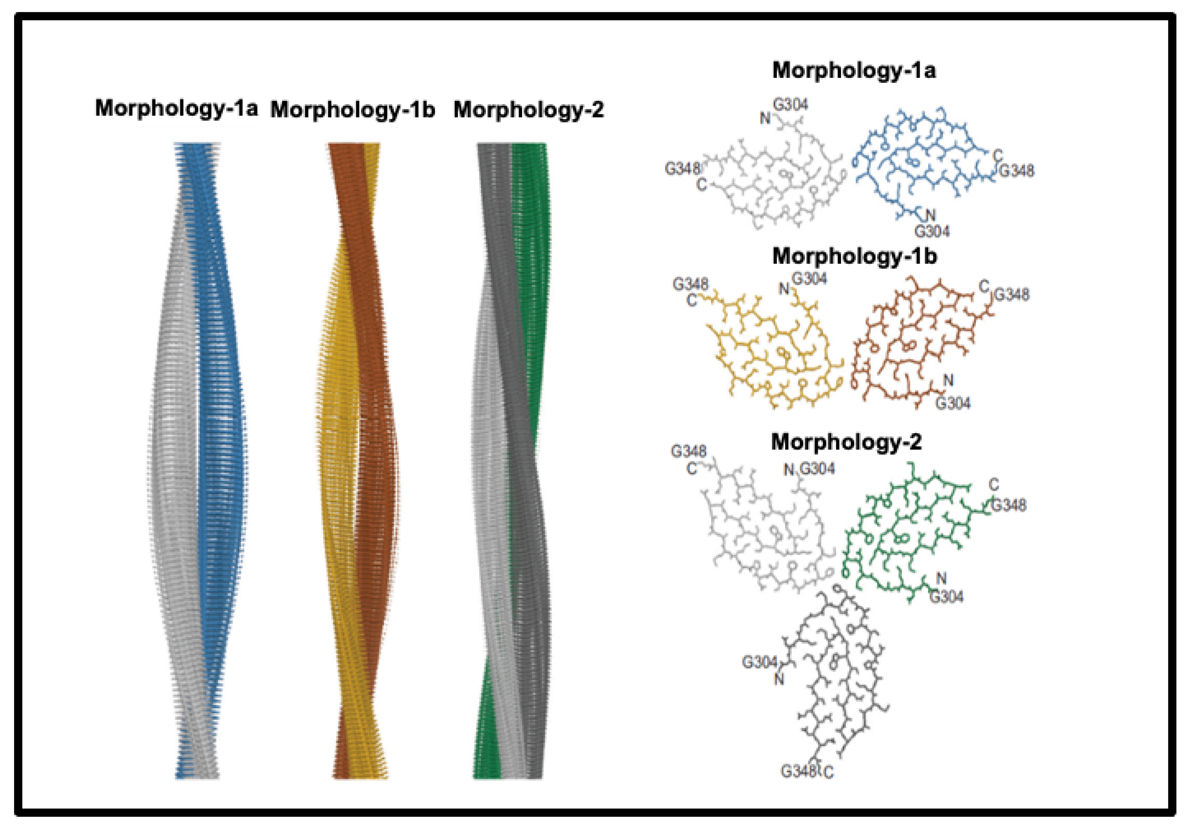 Ijms 25 10809 g003 Ijms 25 10809 g003
