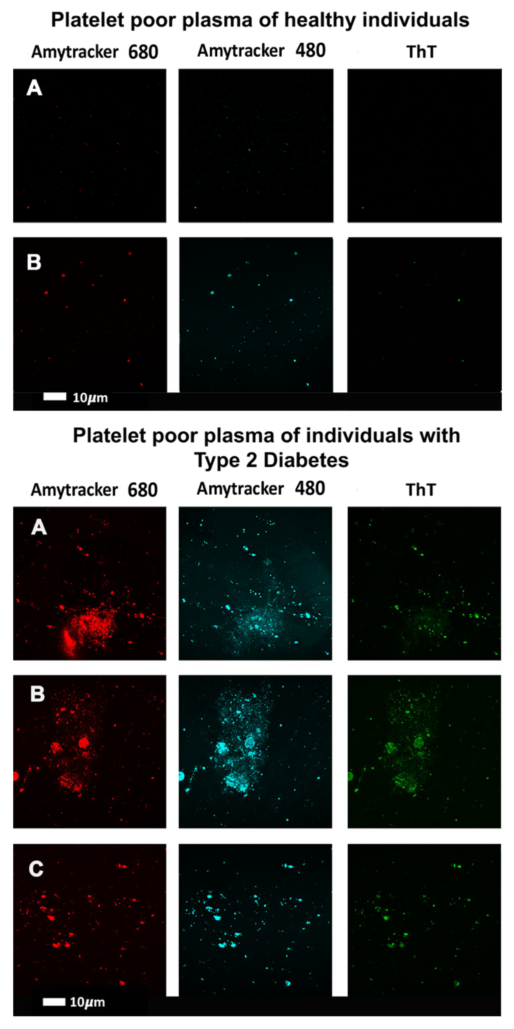 Ijms 25 10809 g005 Ijms 25 10809 g005