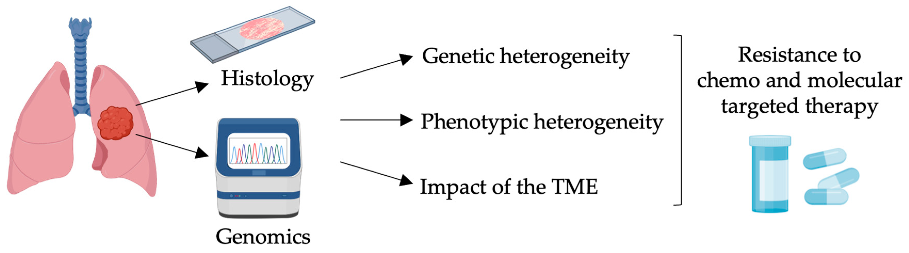 Ijms 25 10823 g001