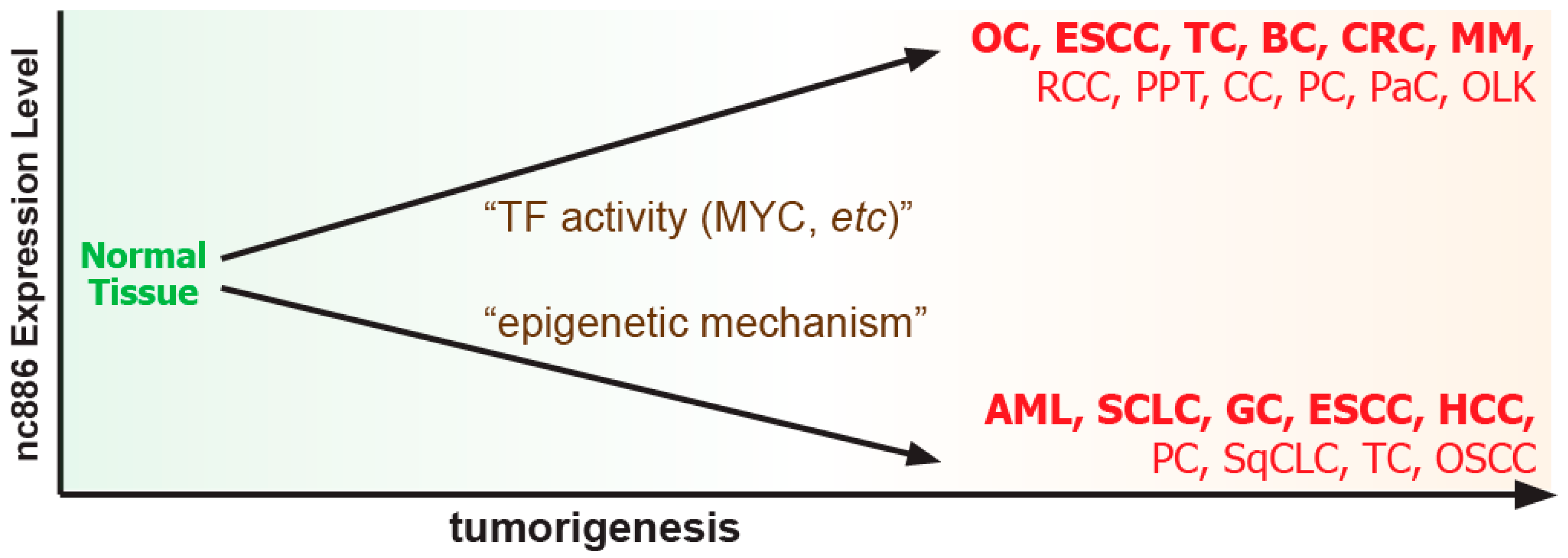 Ijms 25 10825 g002 Ijms 25 10825 g002