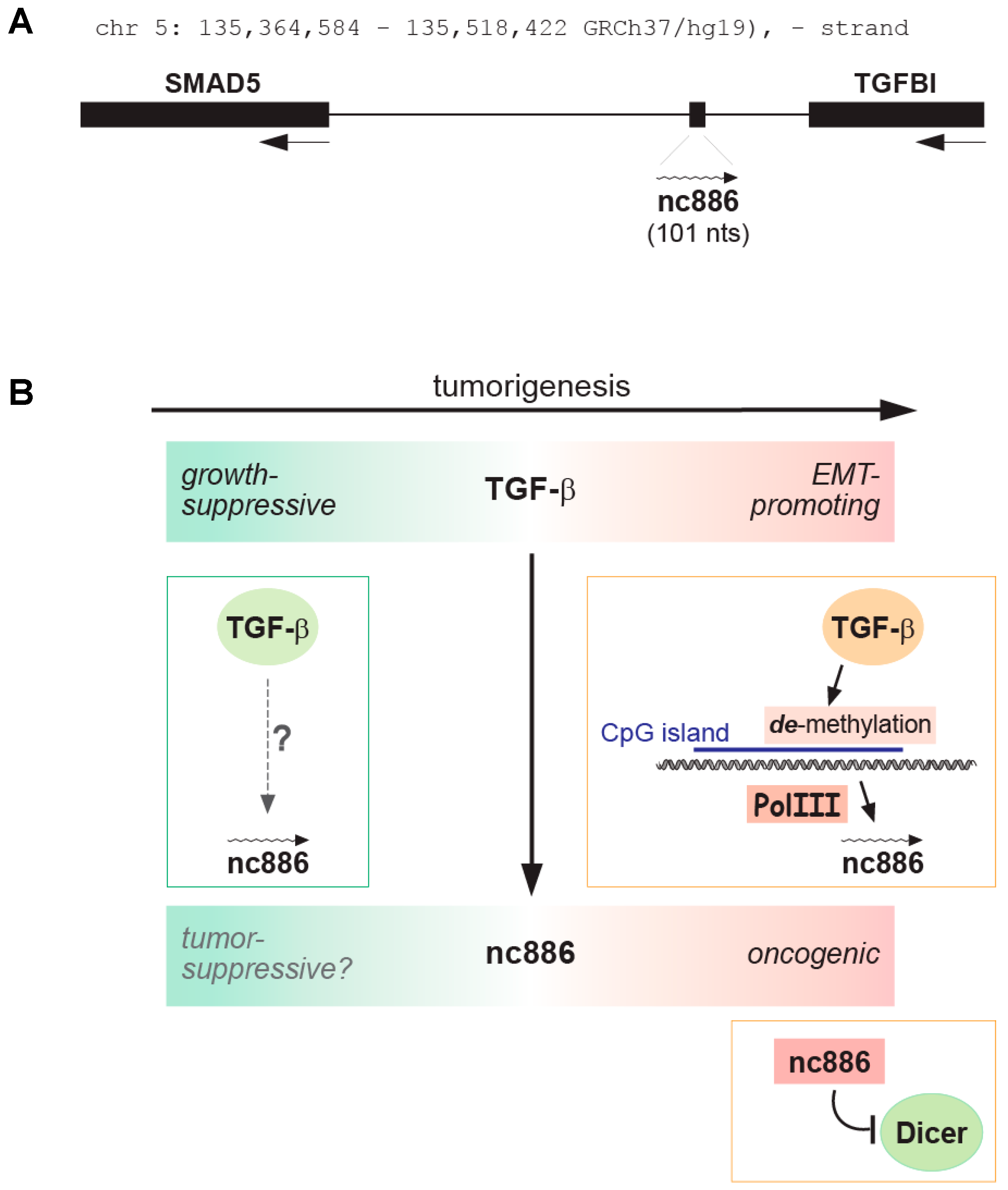 Ijms 25 10825 g004 Ijms 25 10825 g004