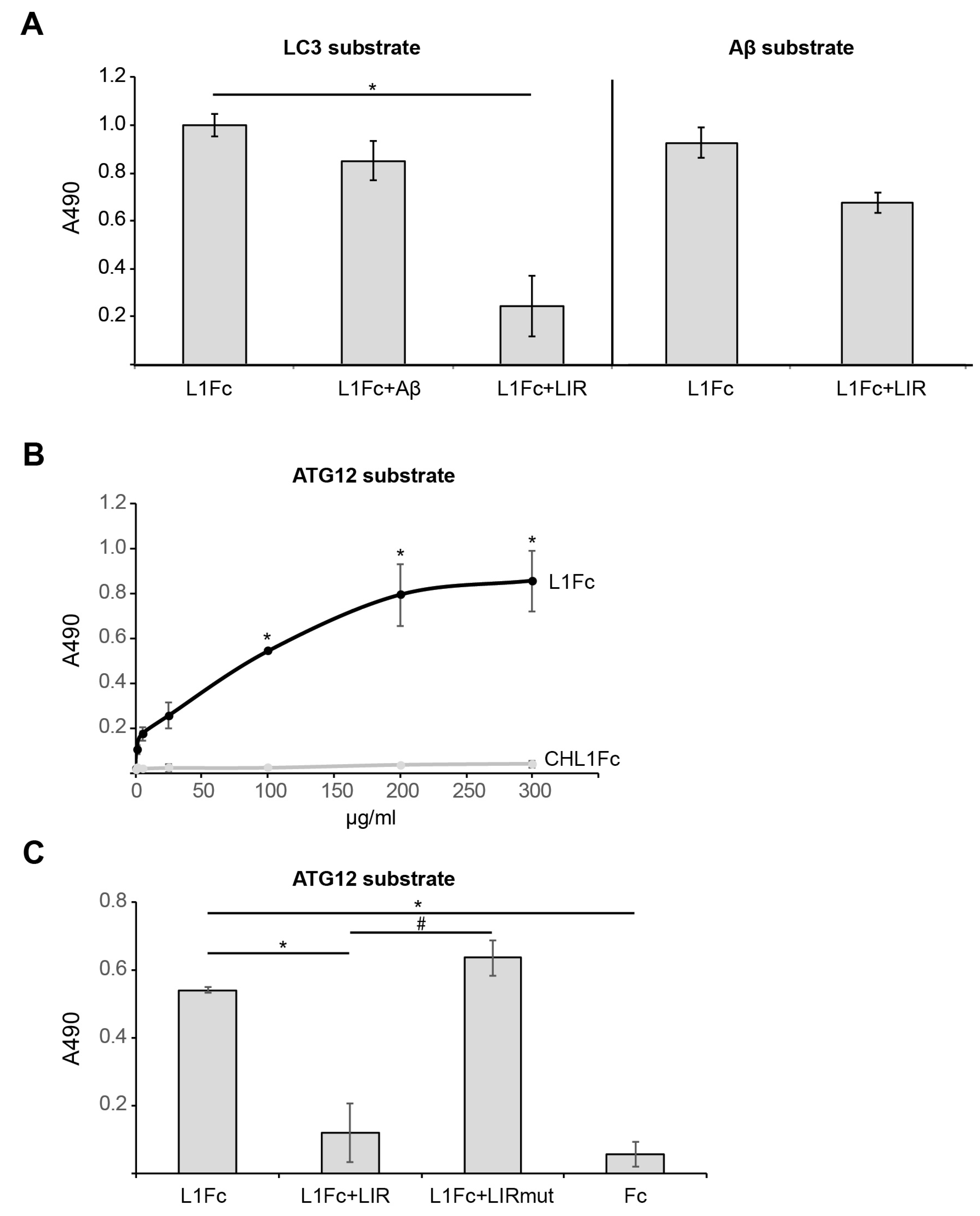 Ijms 25 10829 g001 Ijms 25 10829 g001