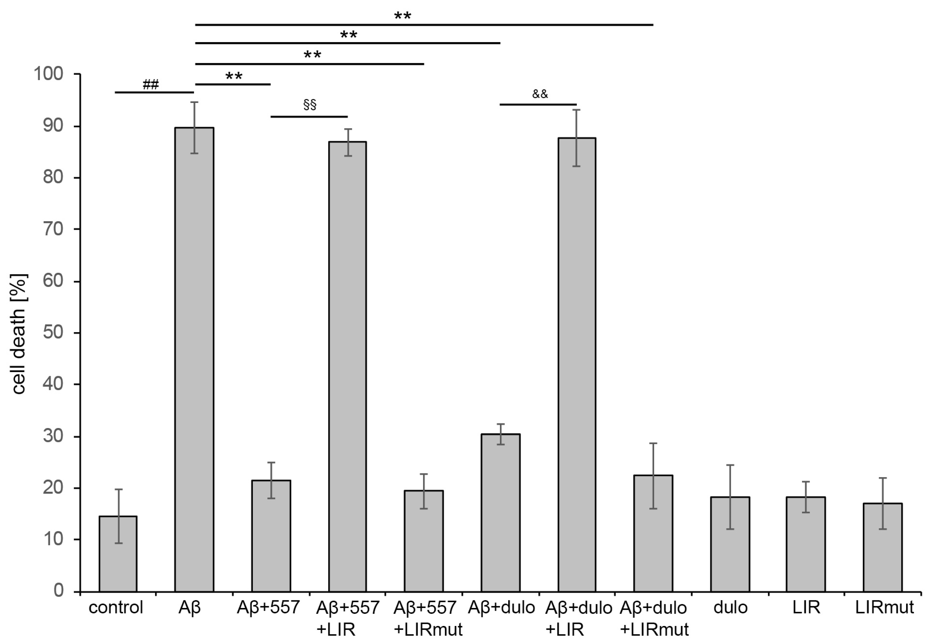 Ijms 25 10829 g007 Ijms 25 10829 g007