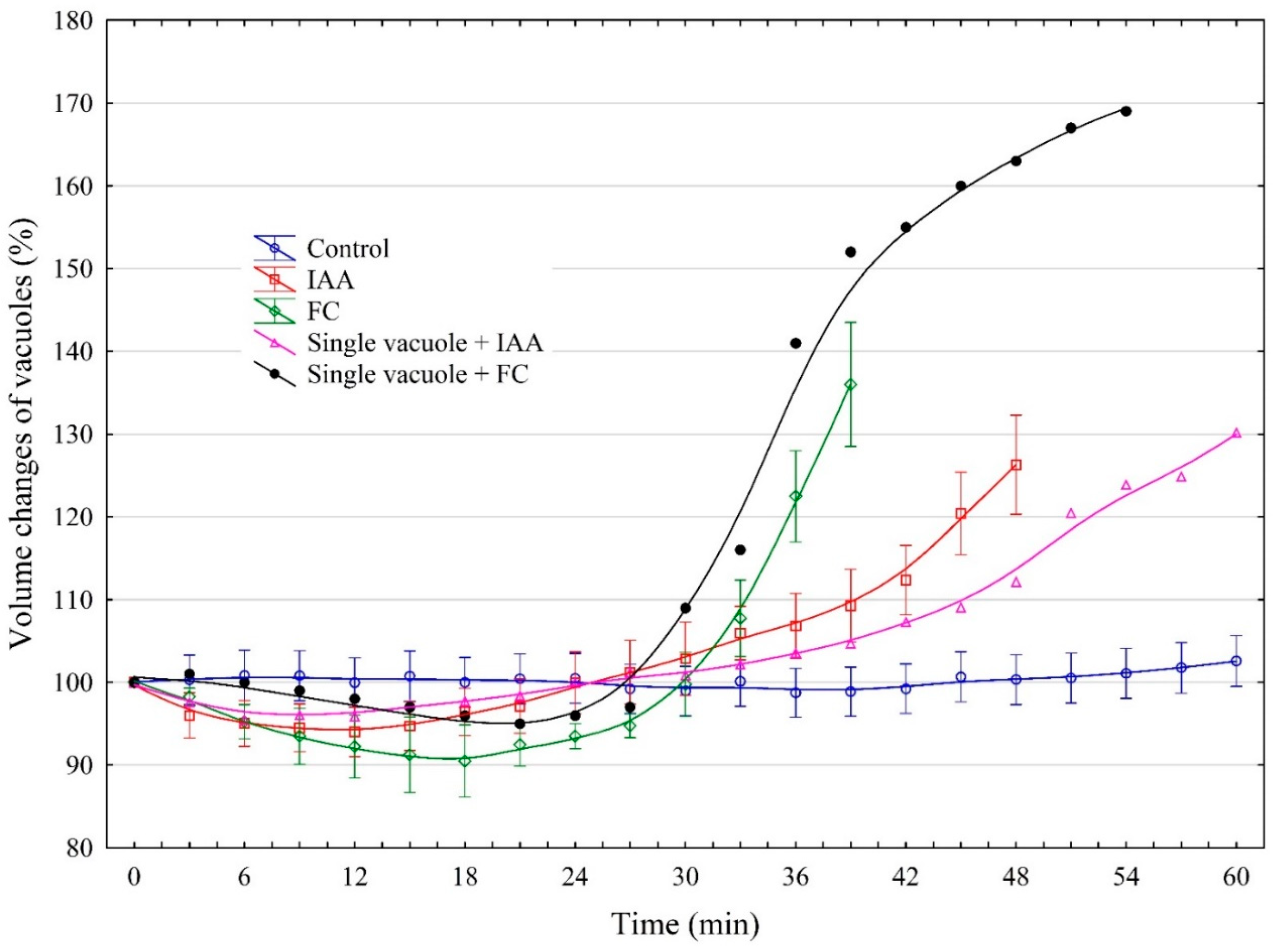 Ijms 25 10842 g001 Ijms 25 10842 g001