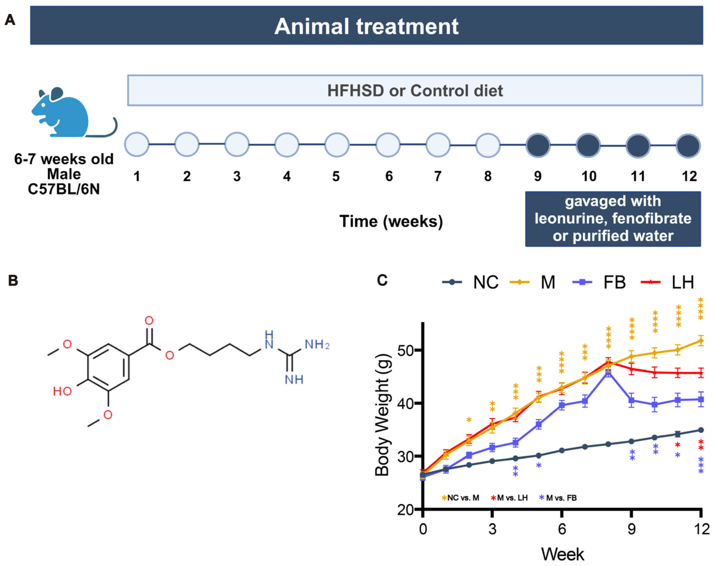 Ijms 25 10855 g001 Ijms 25 10855 g001