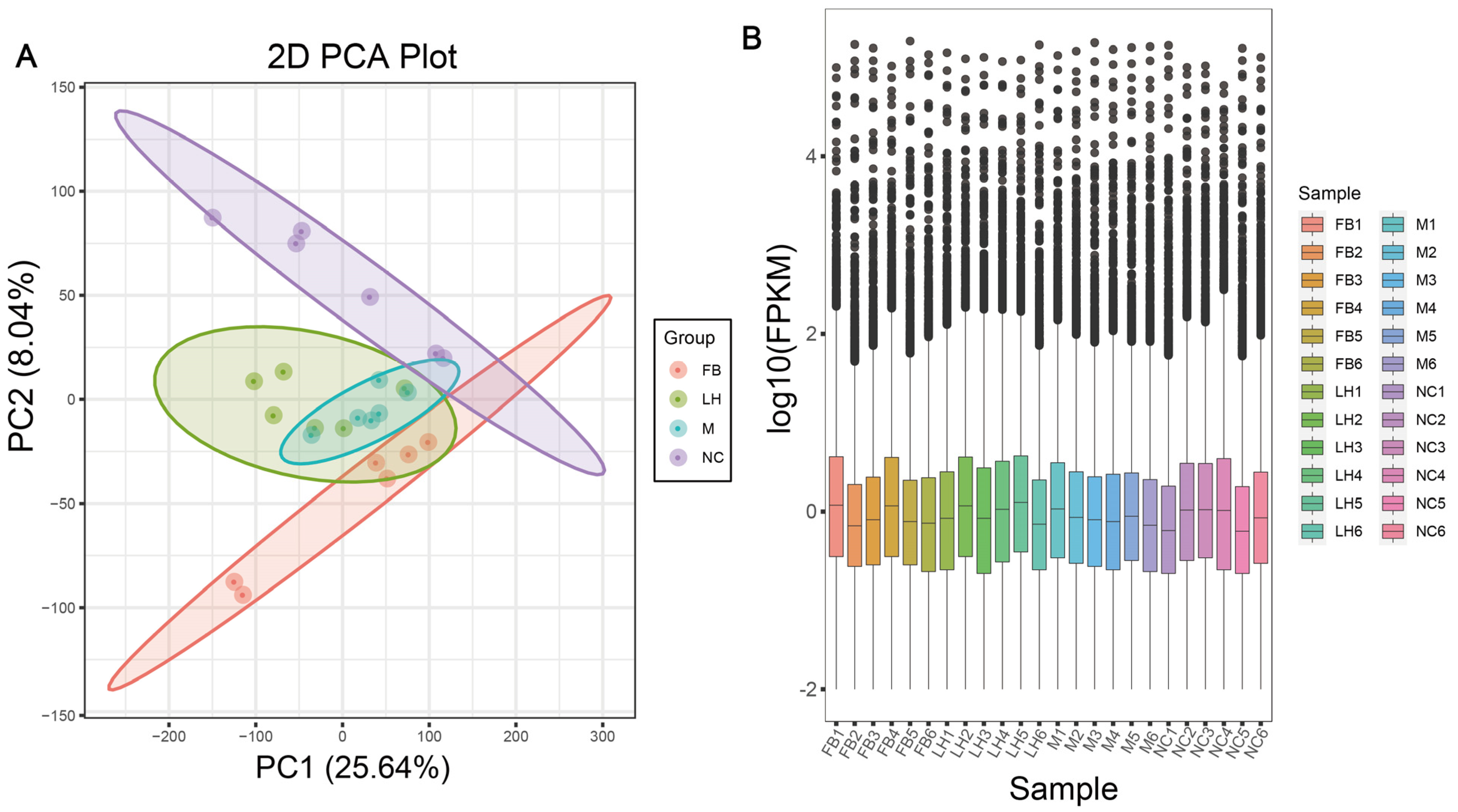 Ijms 25 10855 g004 Ijms 25 10855 g004